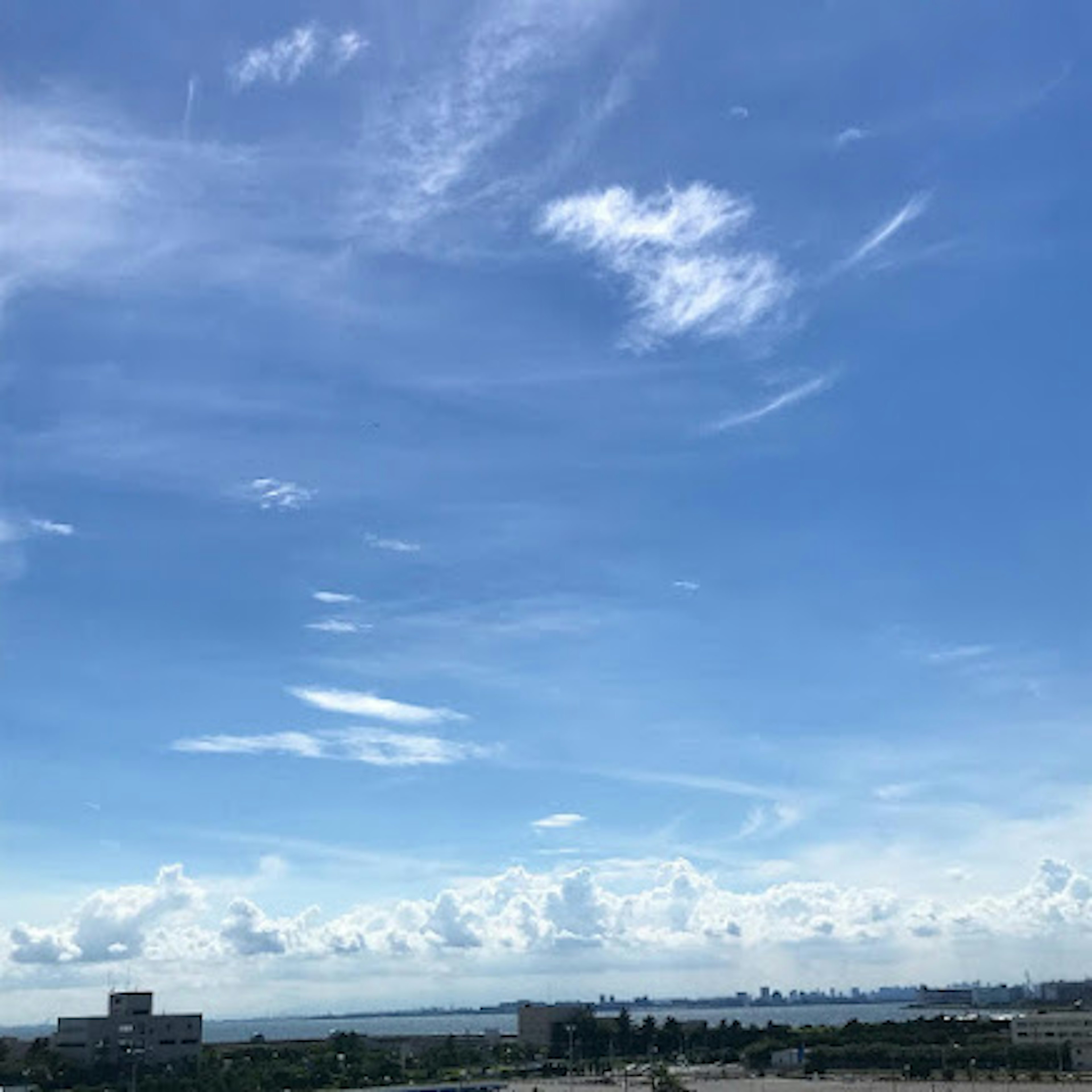 青空と白い雲が広がる風景