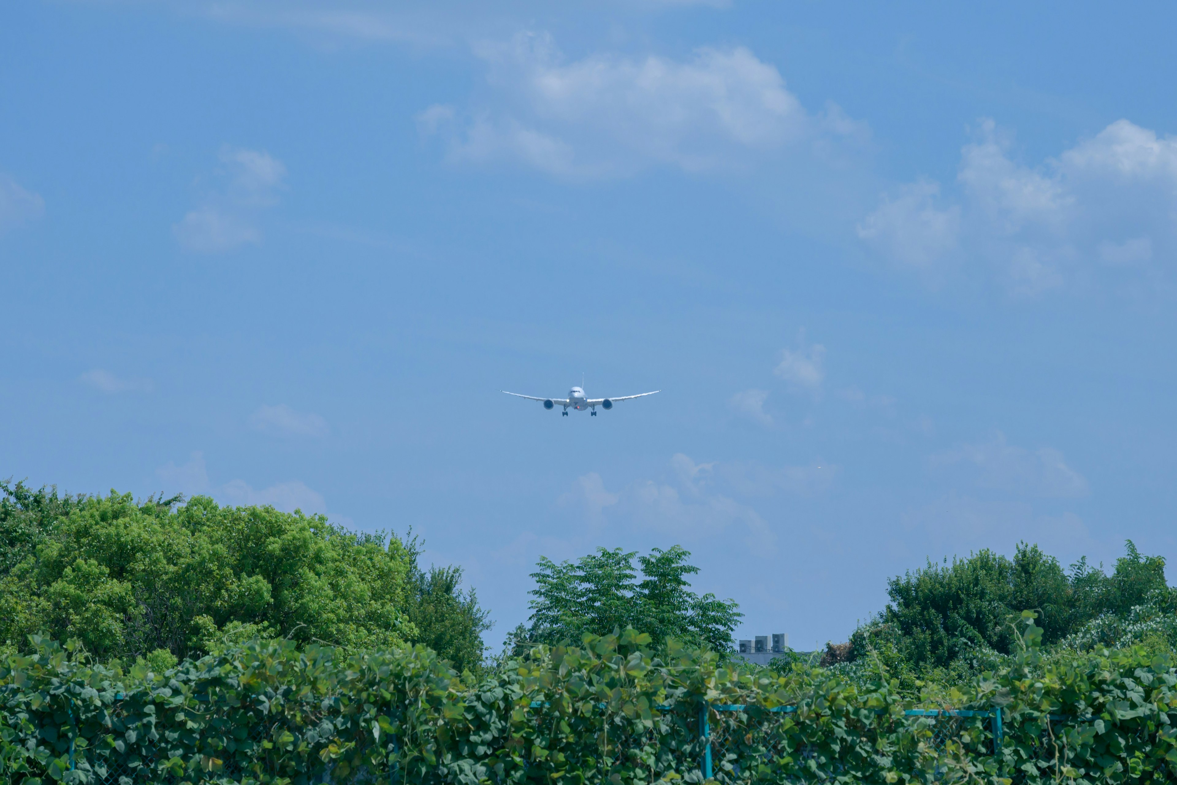 Aereo in atterraggio sotto un cielo blu con alberi verdi