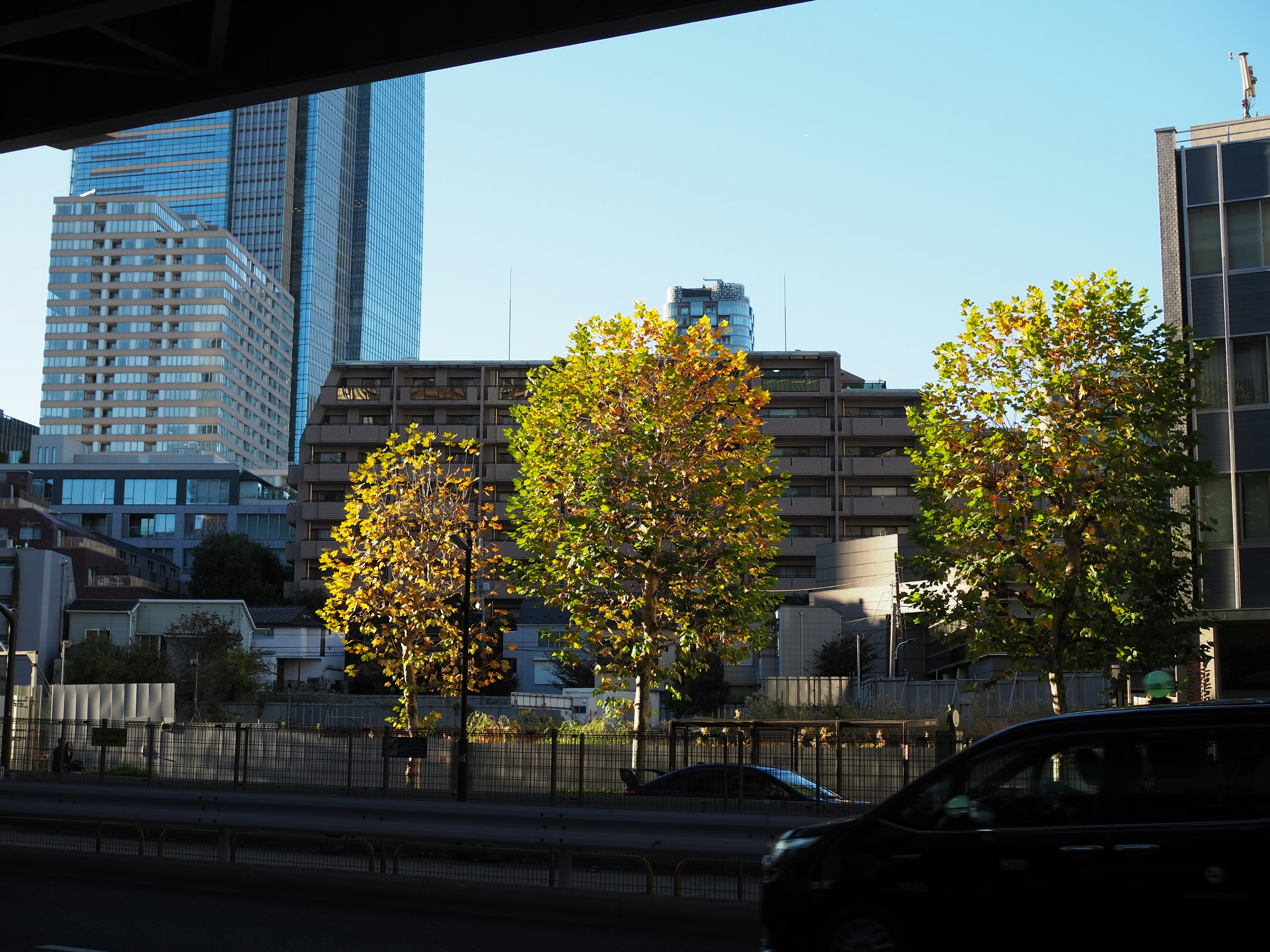 Paysage urbain avec des arbres aux couleurs d'automne et des gratte-ciel