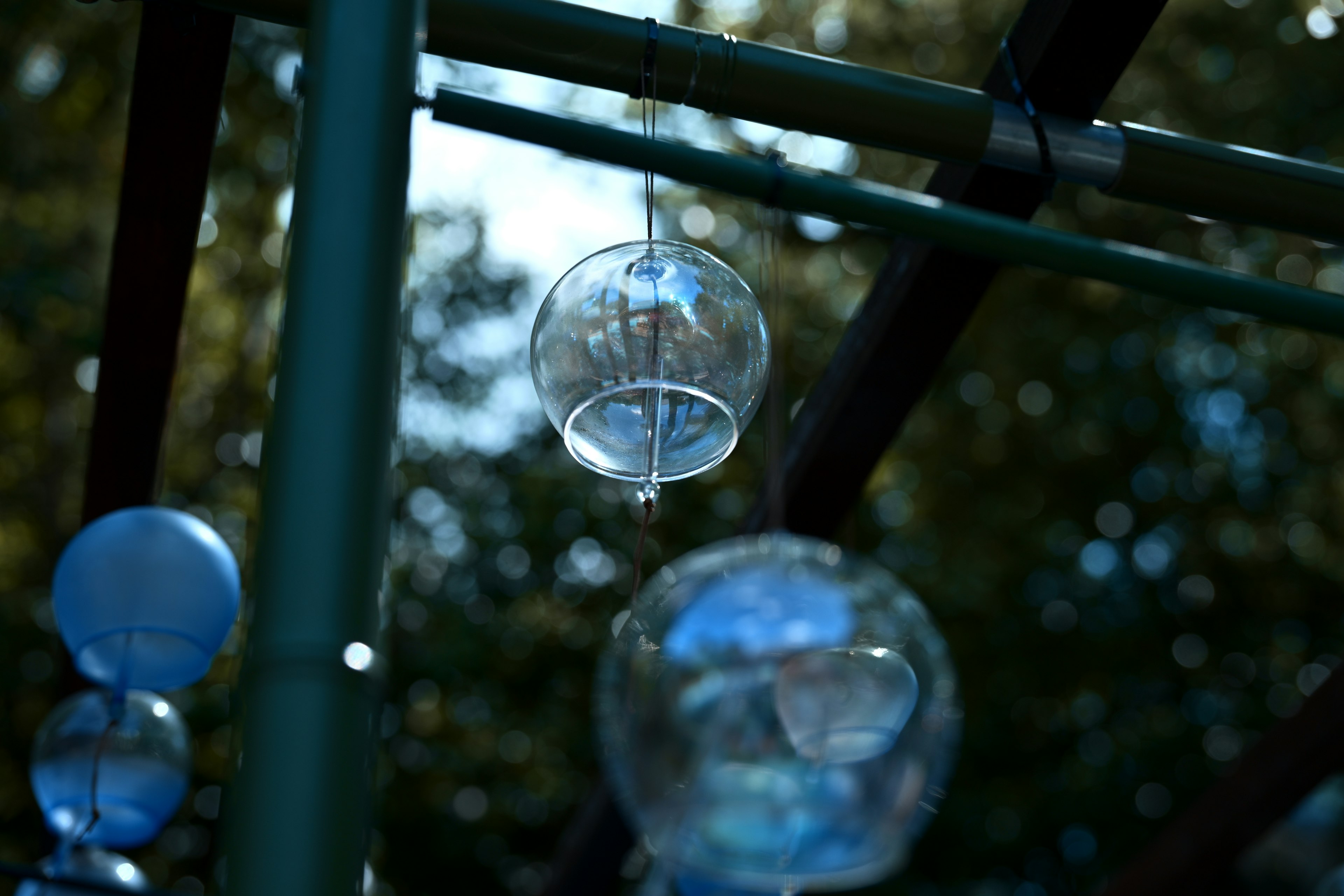 Transparent glass spheres hanging in a natural setting