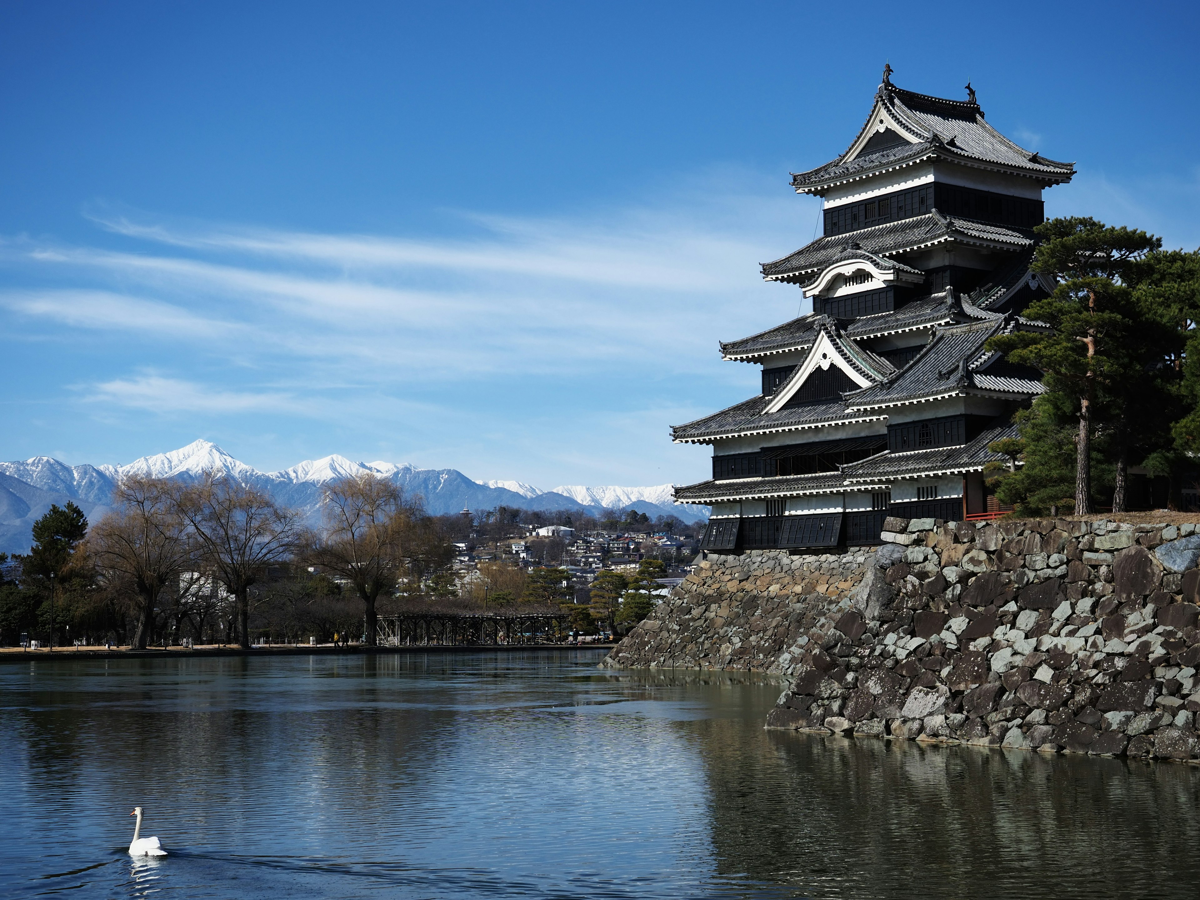 Matsumoto Castle with a swan swimming in the foreground