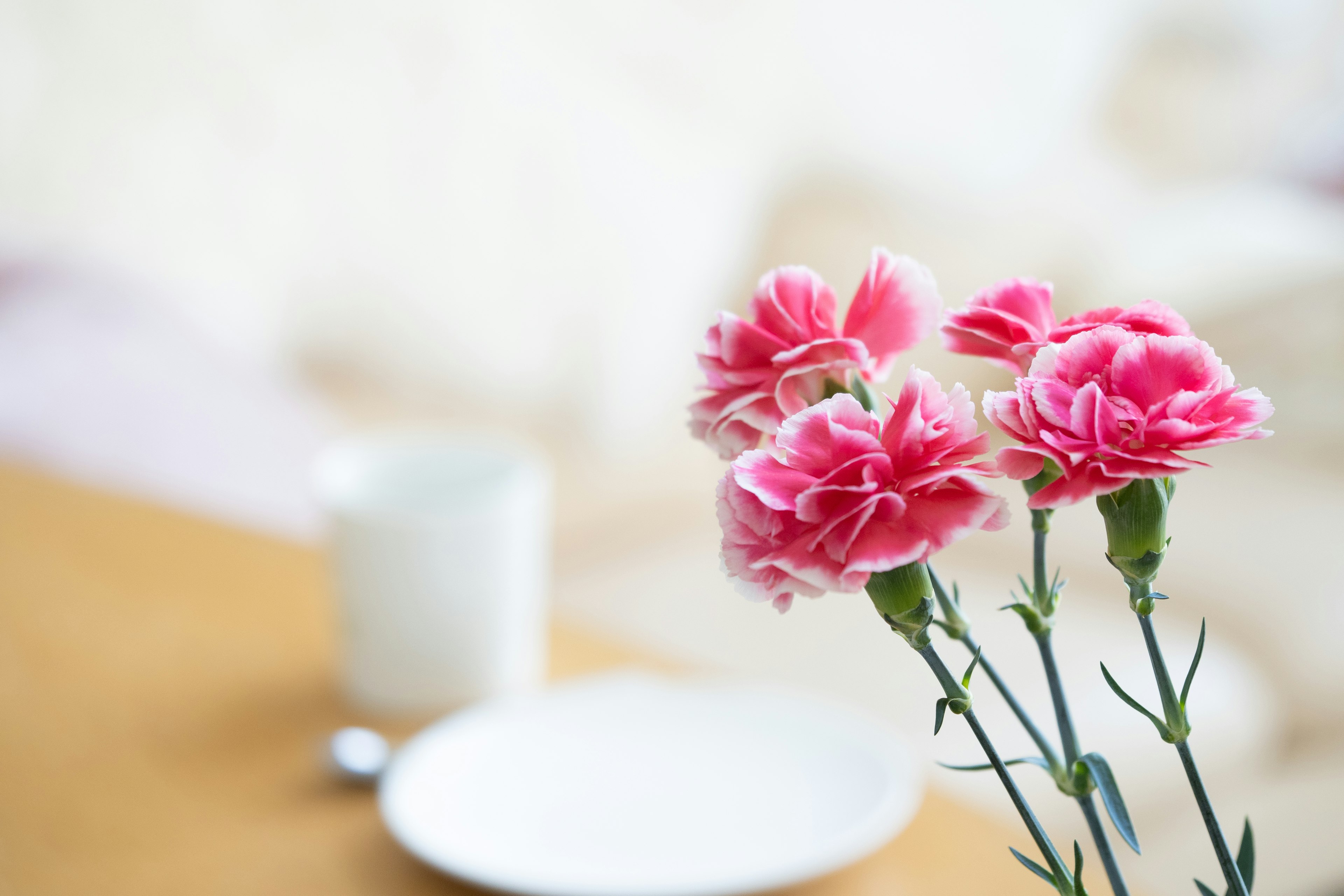 Pink carnations in a vase on a wooden table with a white plate and cup