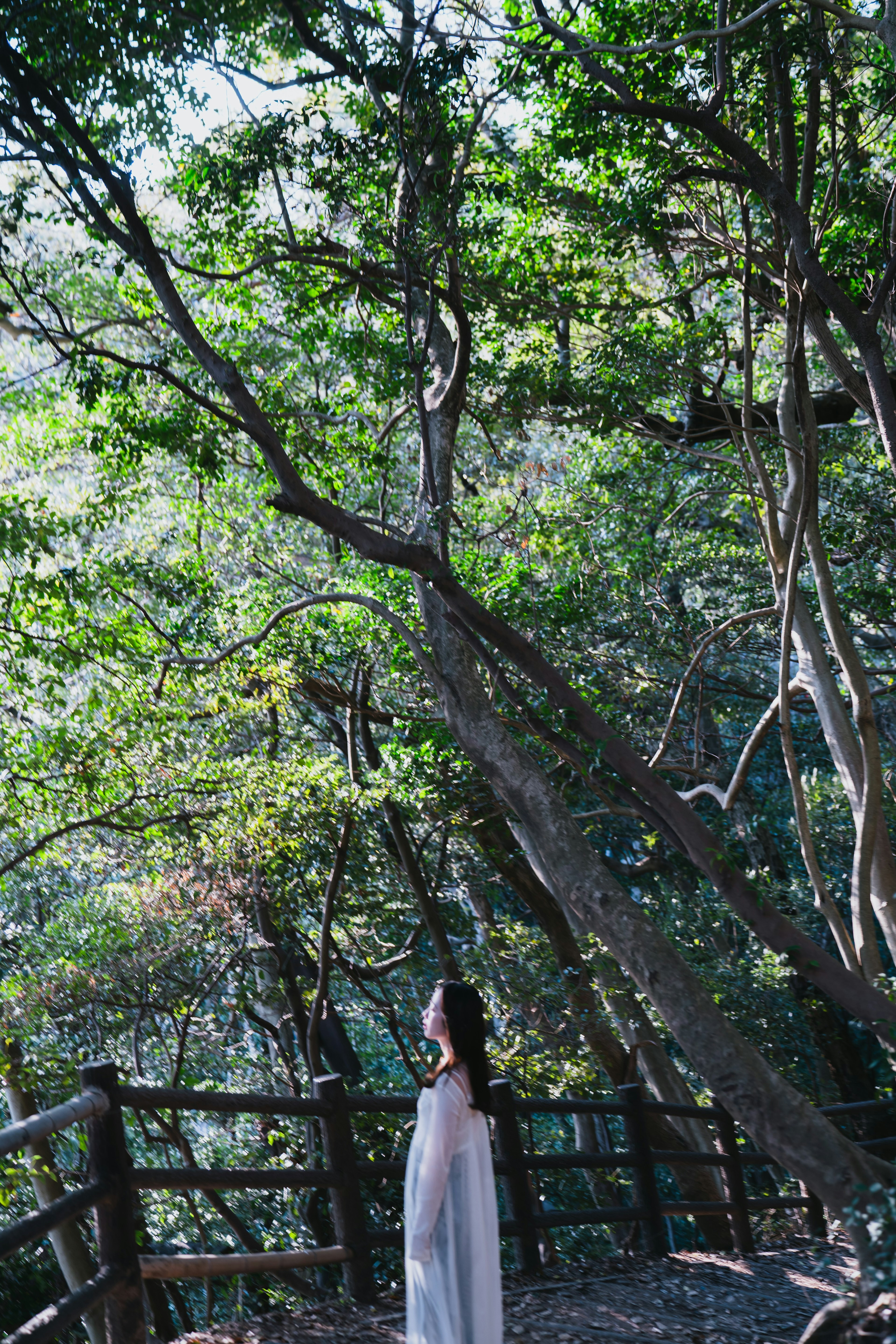 Una mujer con un vestido blanco de pie en un bosque exuberante