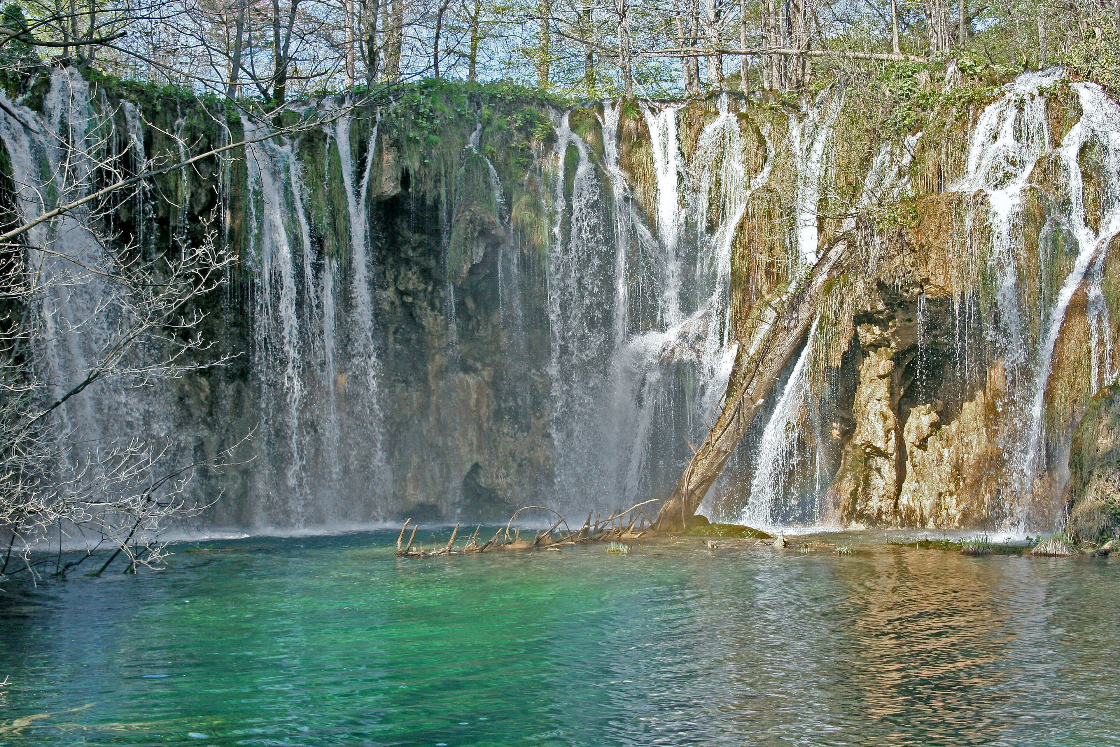 Schöner Wasserfall mit fließendem grünem Wasser und üppiger Umgebung