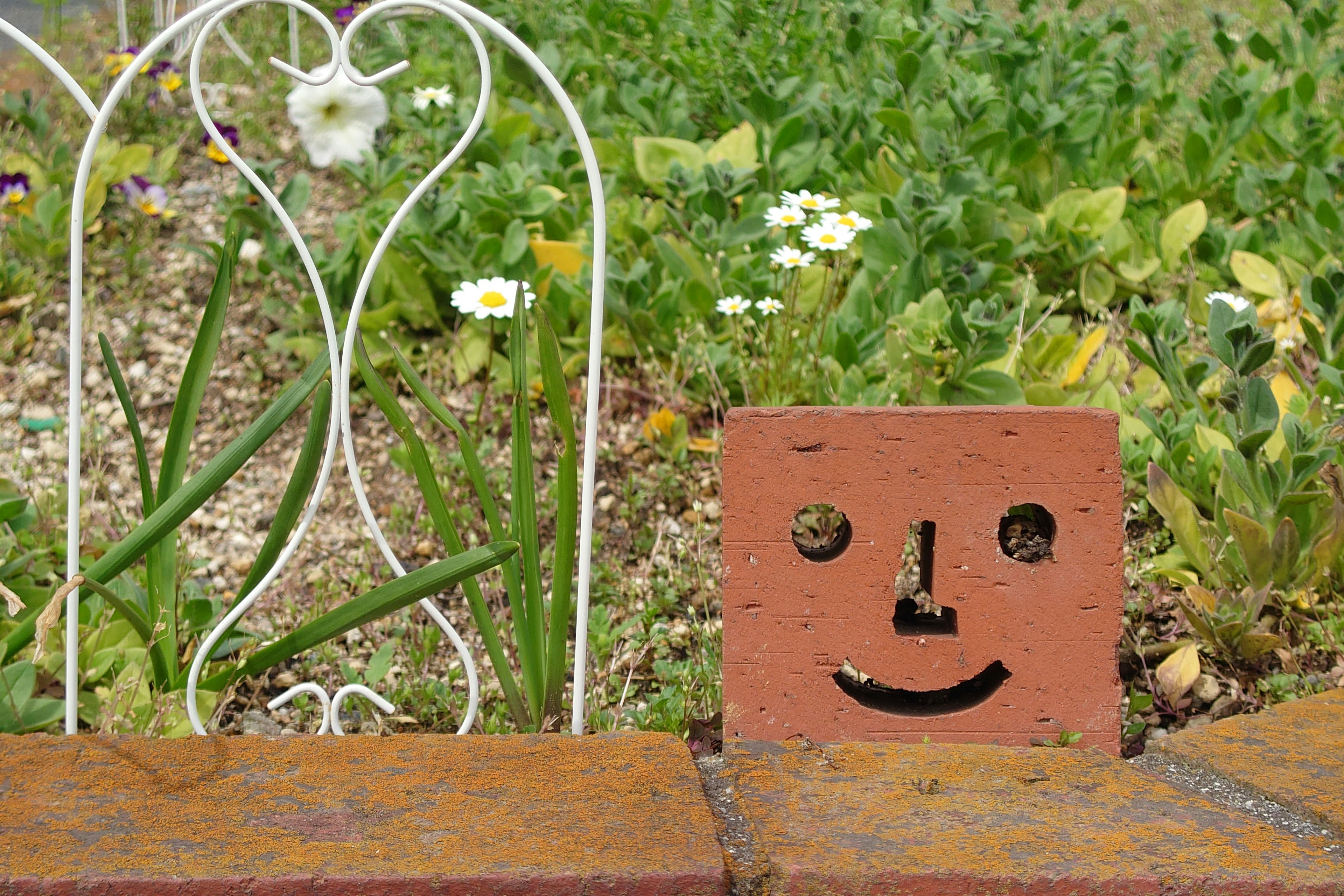 Mattone con un volto sorridente accanto a fiori in un giardino