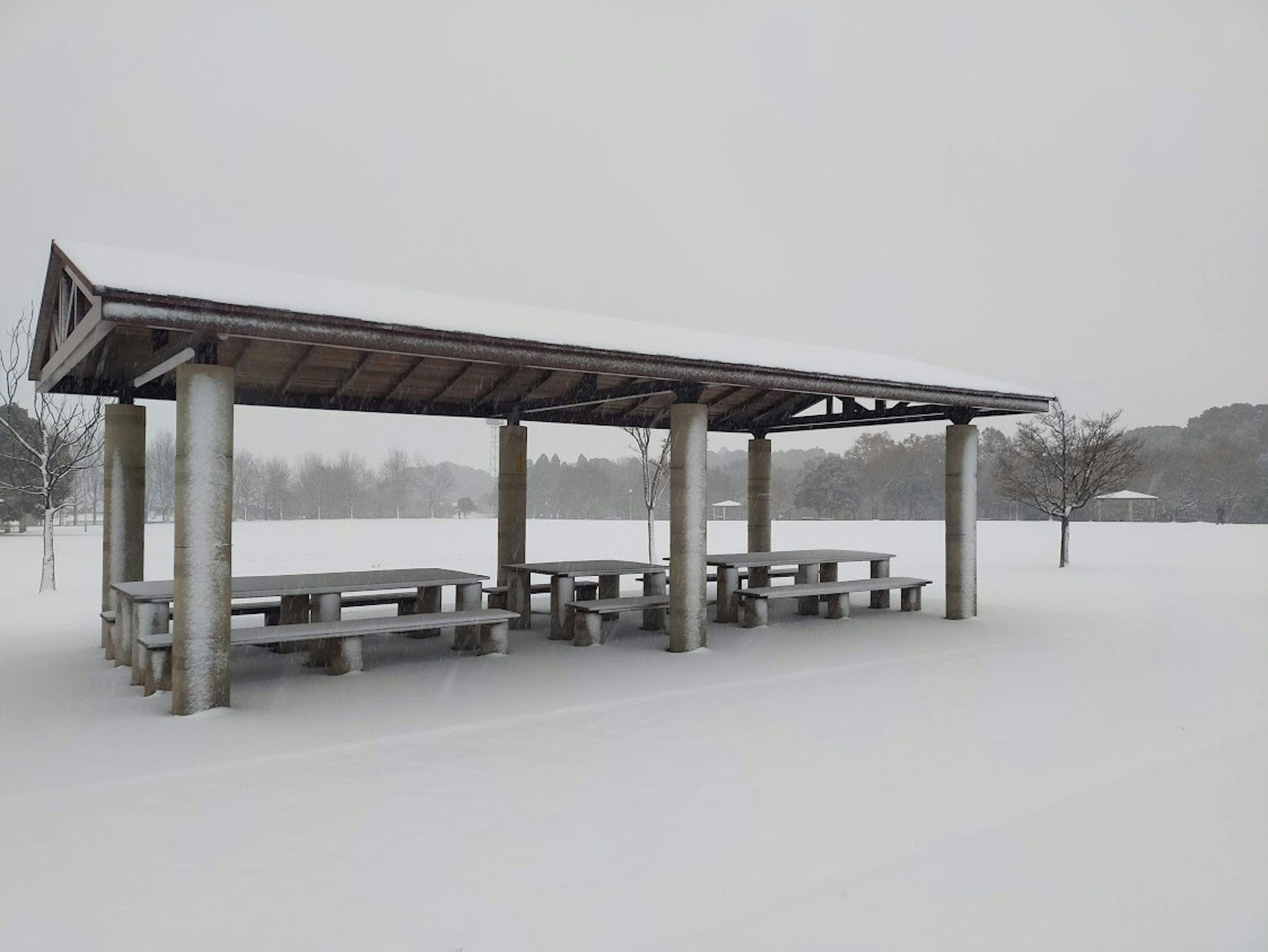 Snow-covered pavilion with tables in a park