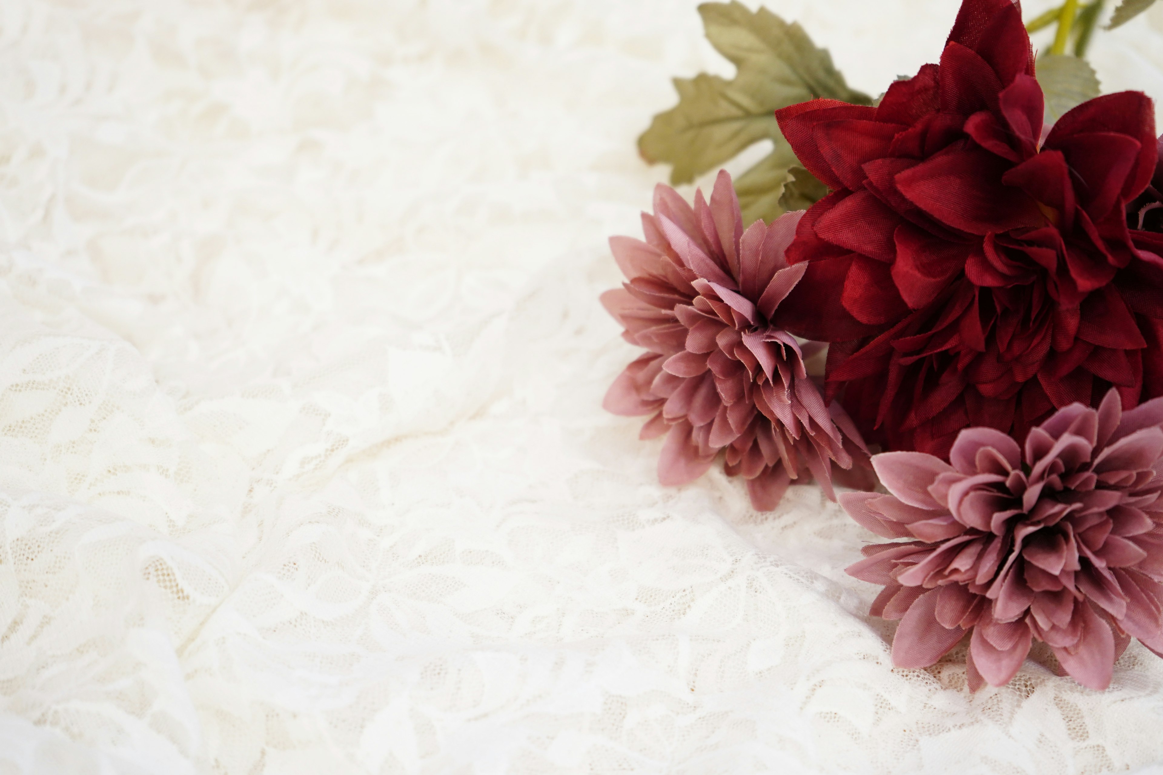 Rote und rosa Blumen auf einem weißen Hintergrund angeordnet