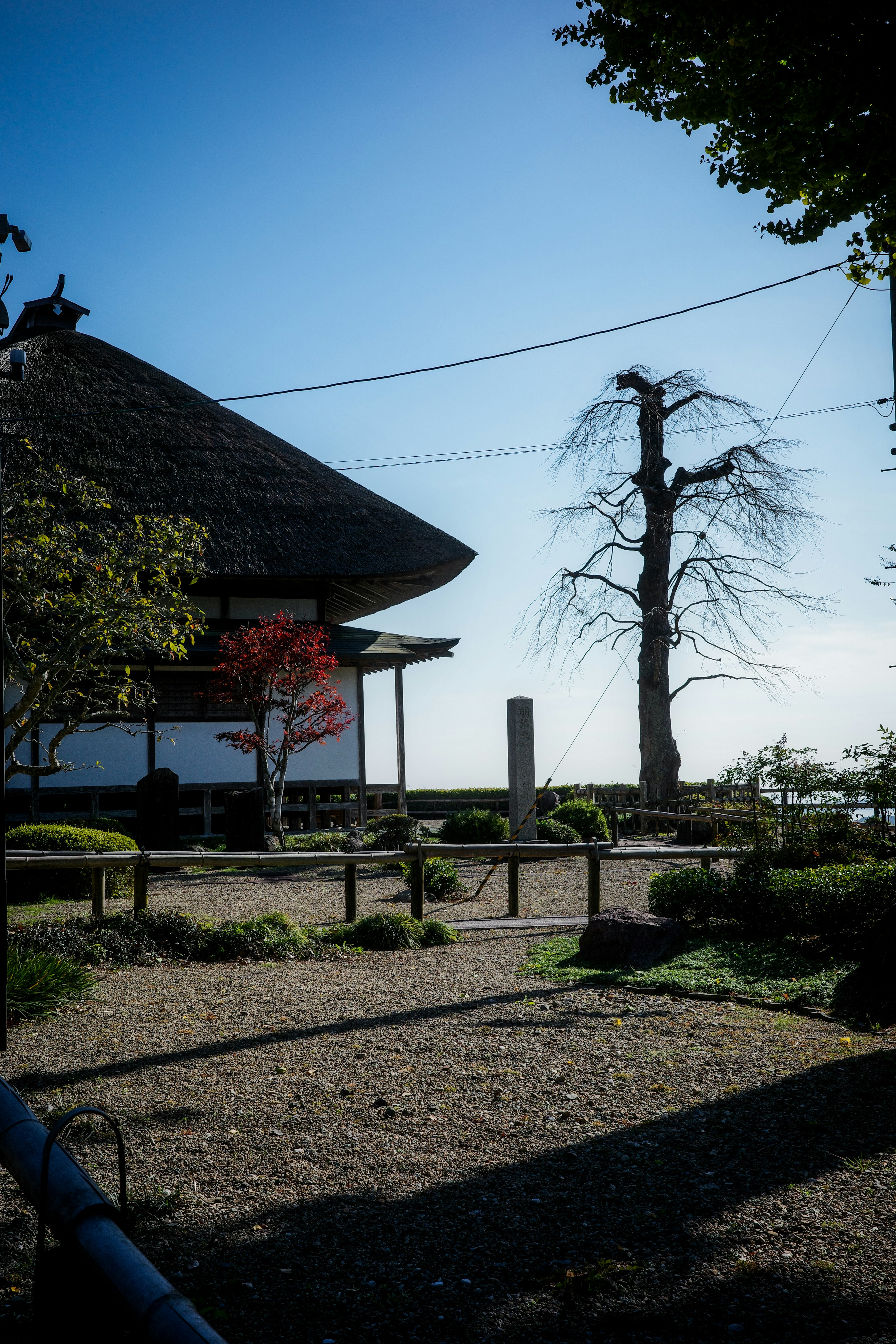 青空の下にある伝統的な建物と裸の木がある風景