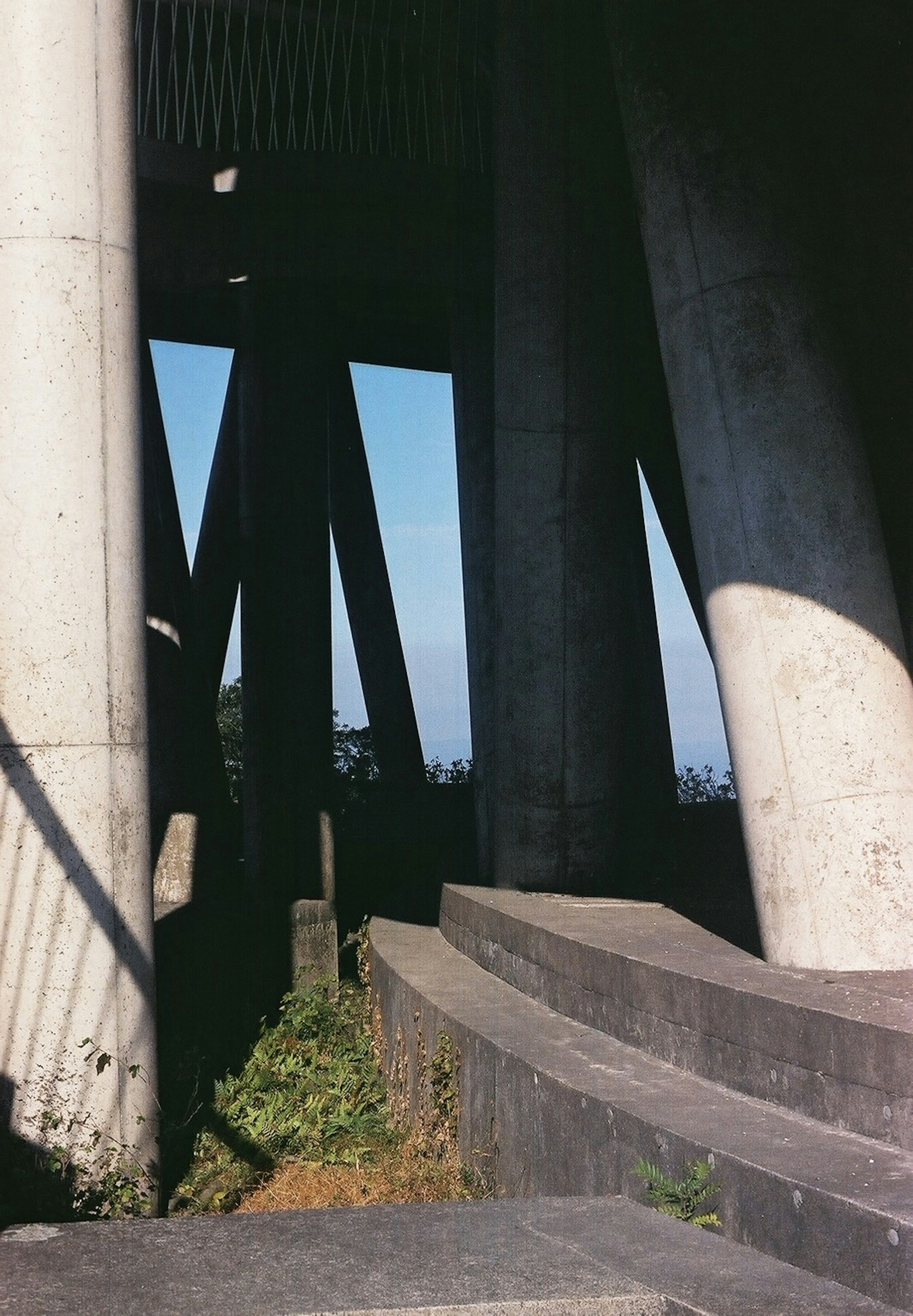 Vista interior de una estructura con columnas de concreto y escalones