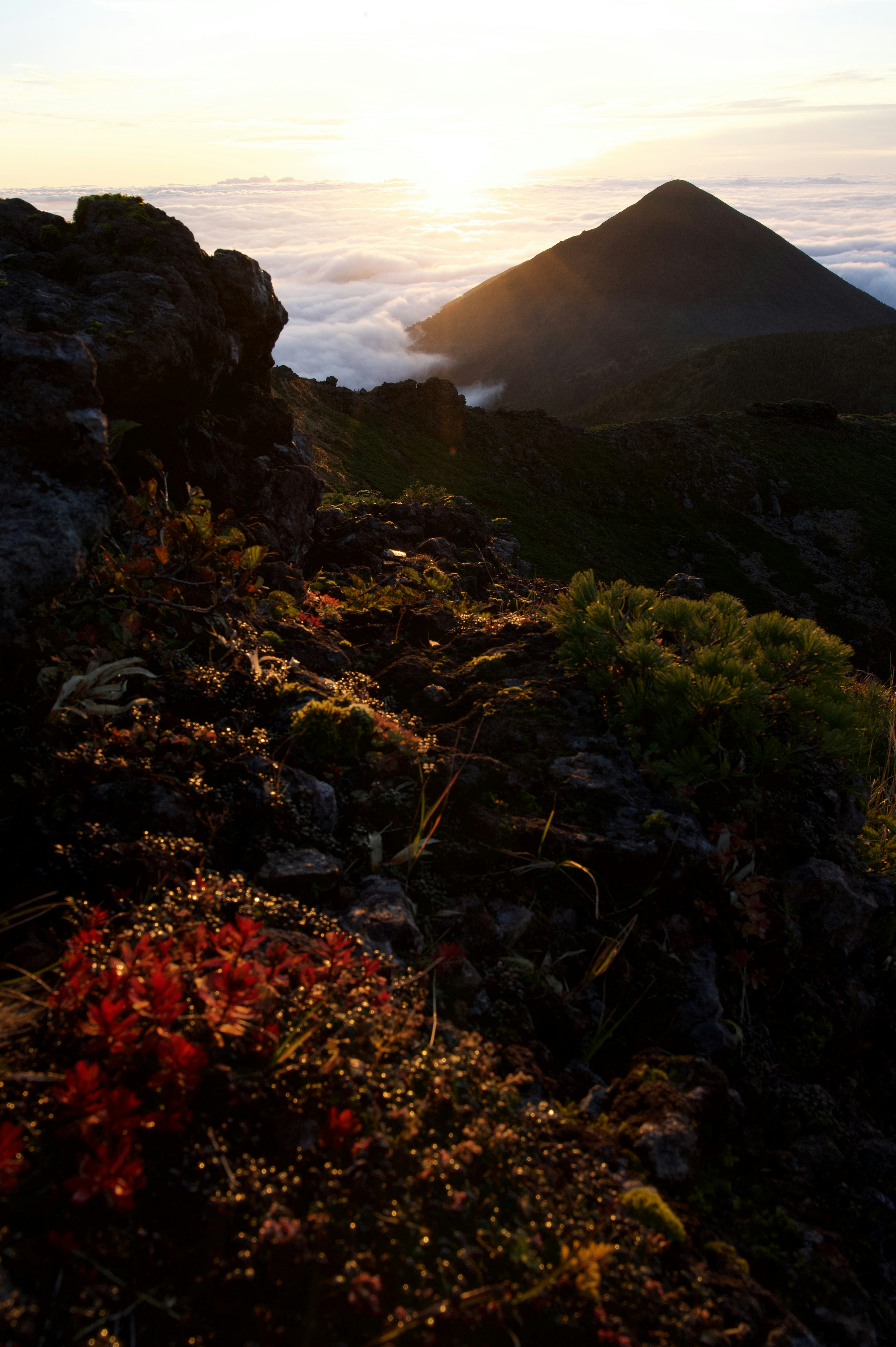 夕日が照らす山と岩肌の風景に色づいた草花が映える