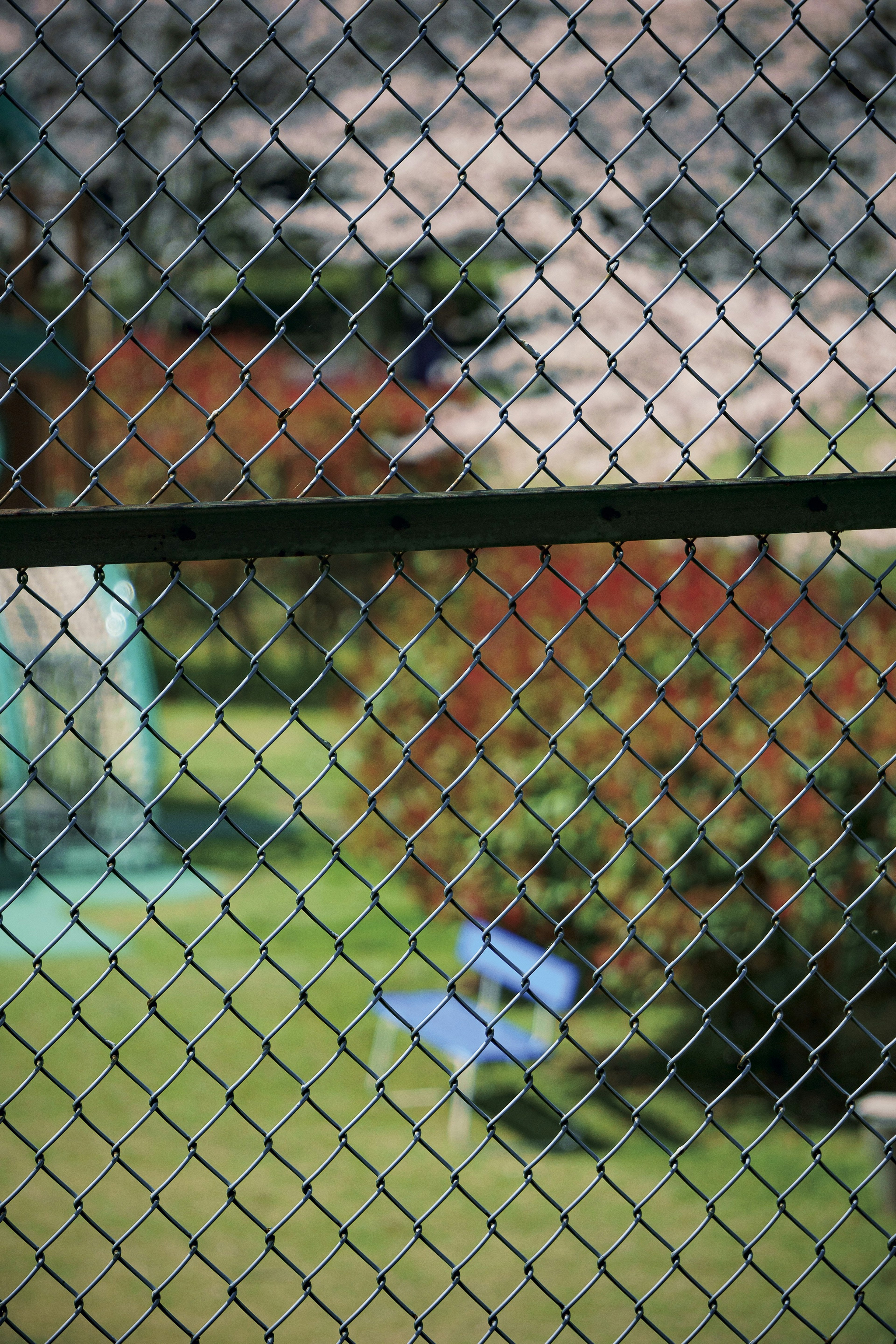 Giardino verde e alberi visibili attraverso una recinzione