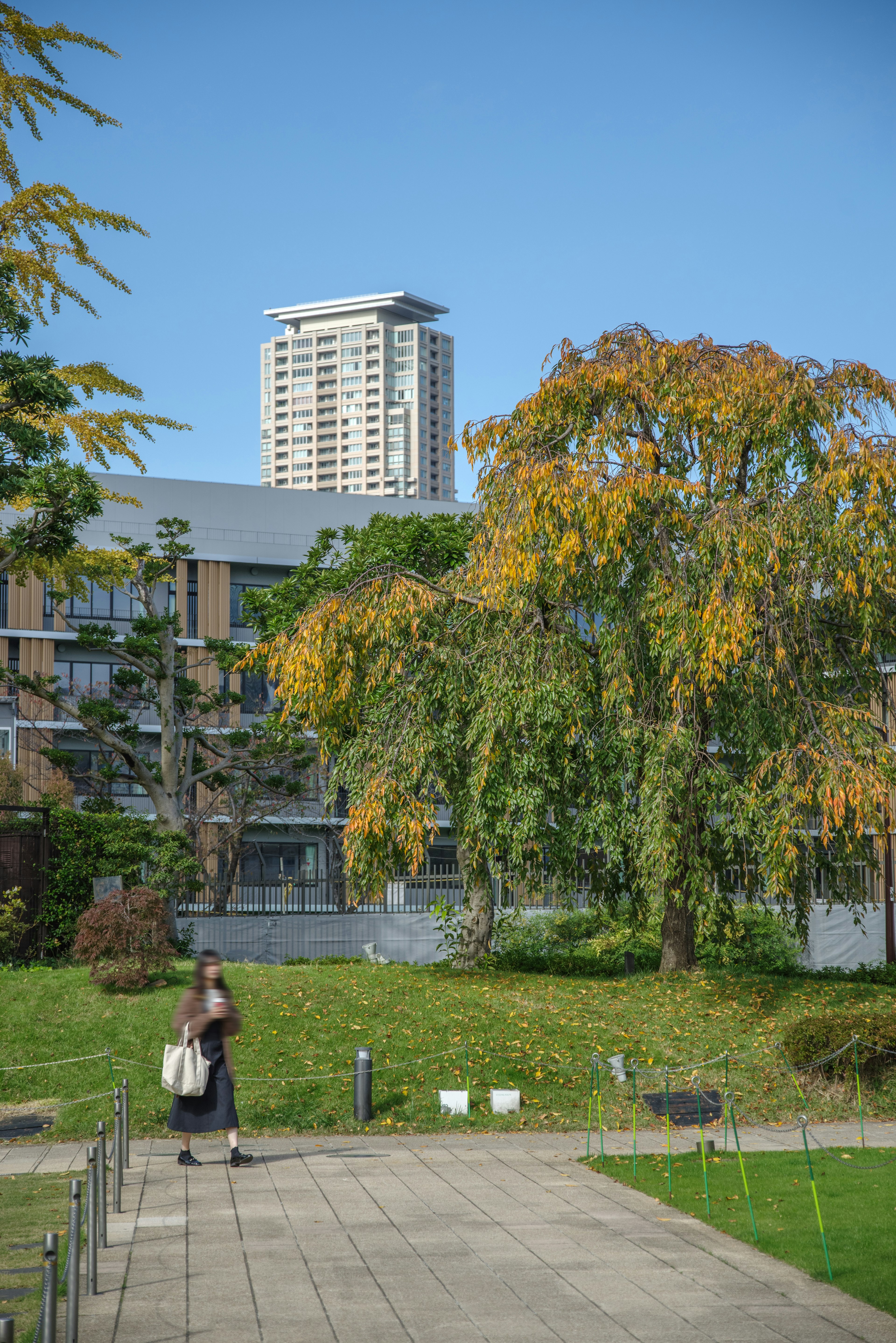 Pemandangan taman dengan gedung tinggi dan pohon musim gugur