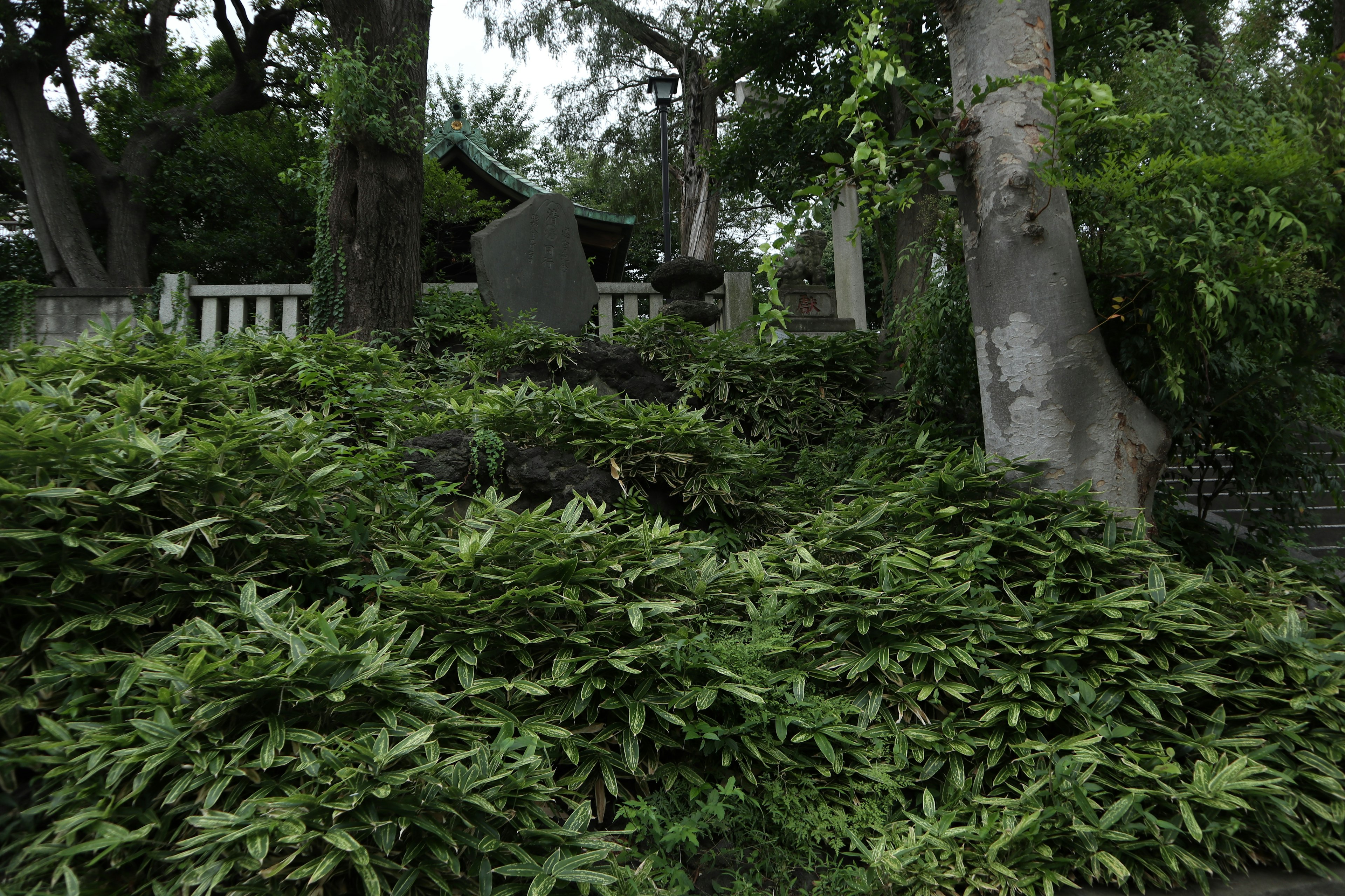 A landscape featuring a stone monument surrounded by lush green plants