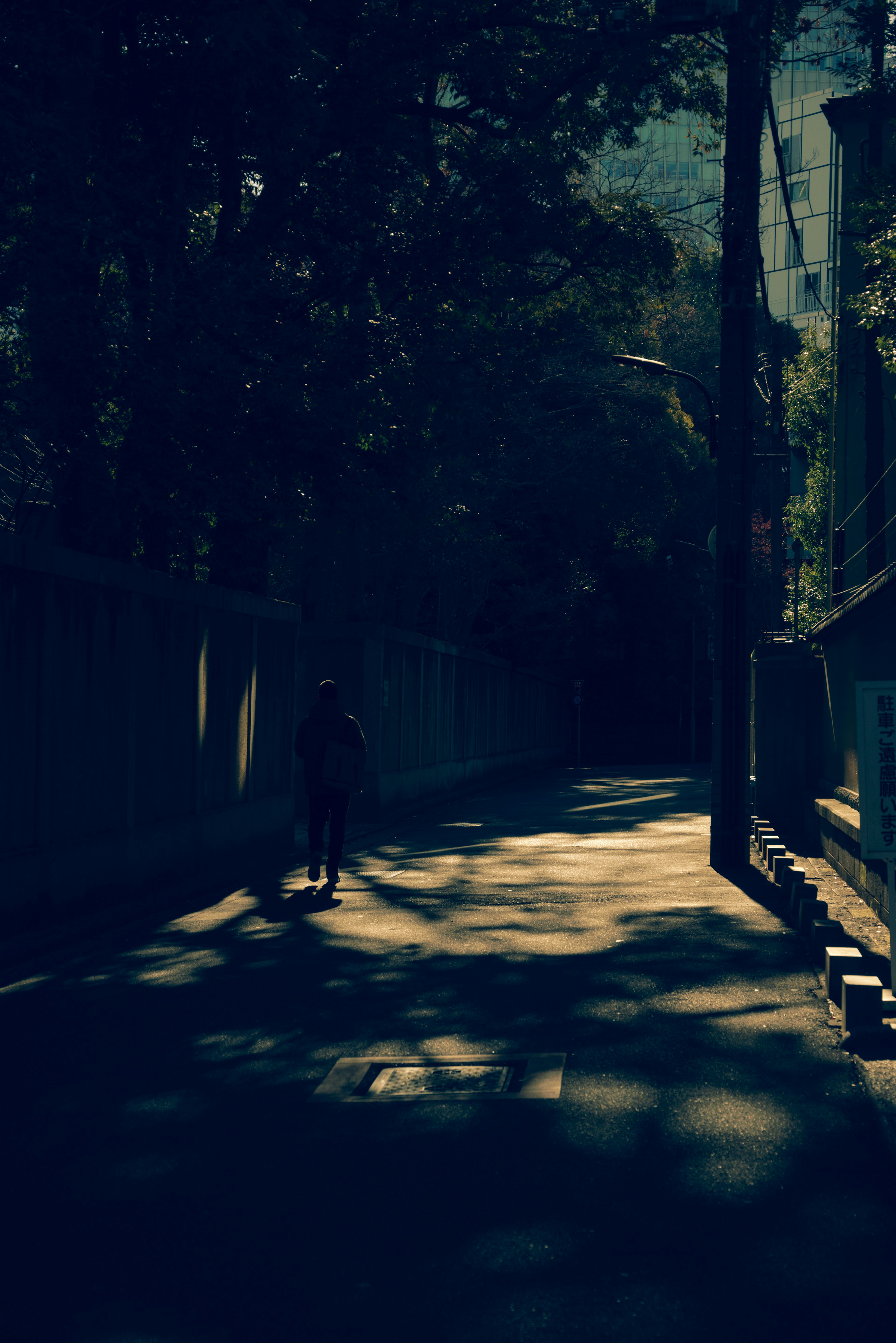 Silhouette di una persona in bicicletta su una strada poco illuminata