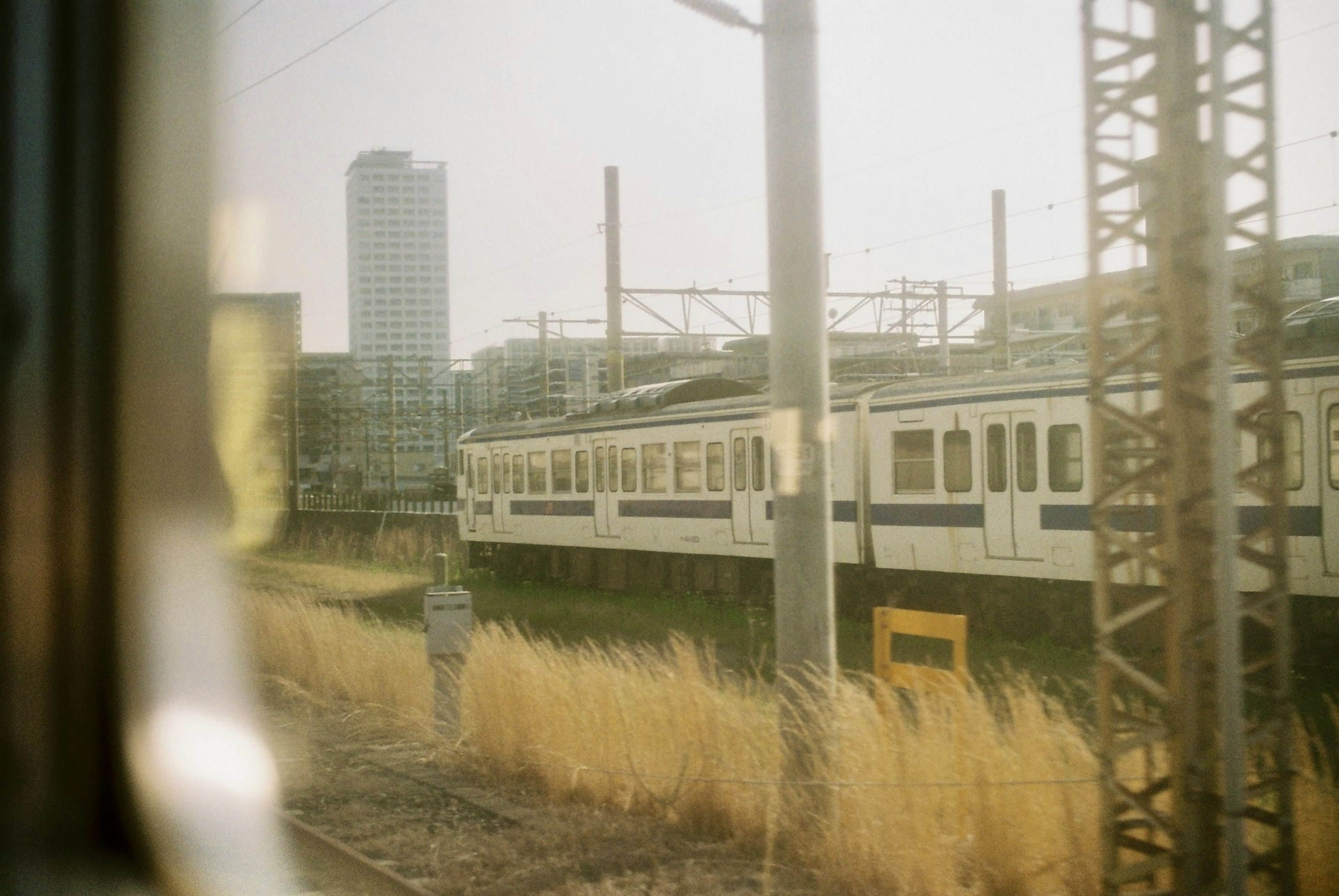 電車が草原の近くを走る風景と高層ビルの背景