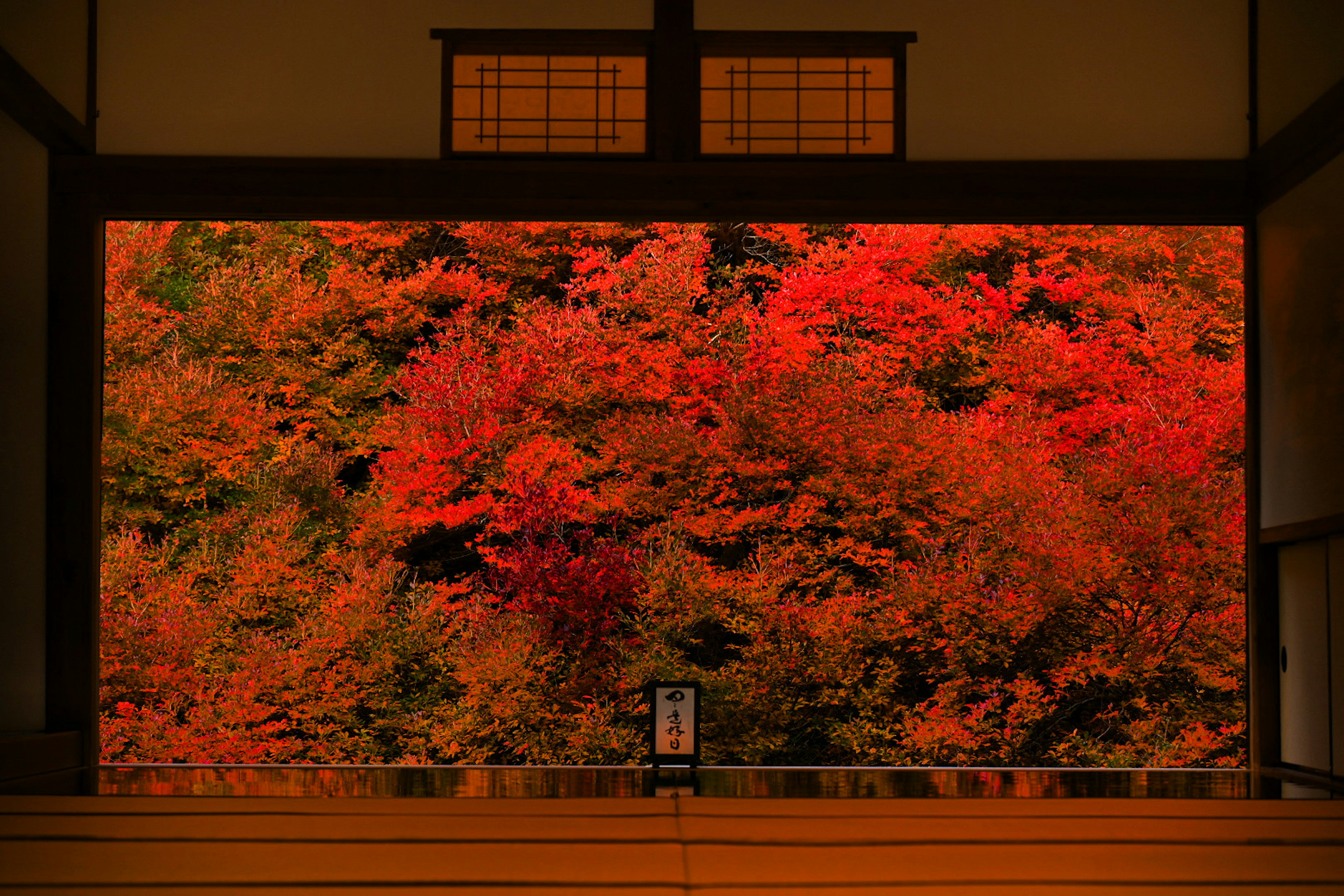 Eine ruhige Aussicht auf Herbstlaub durch einen traditionellen japanischen Raum