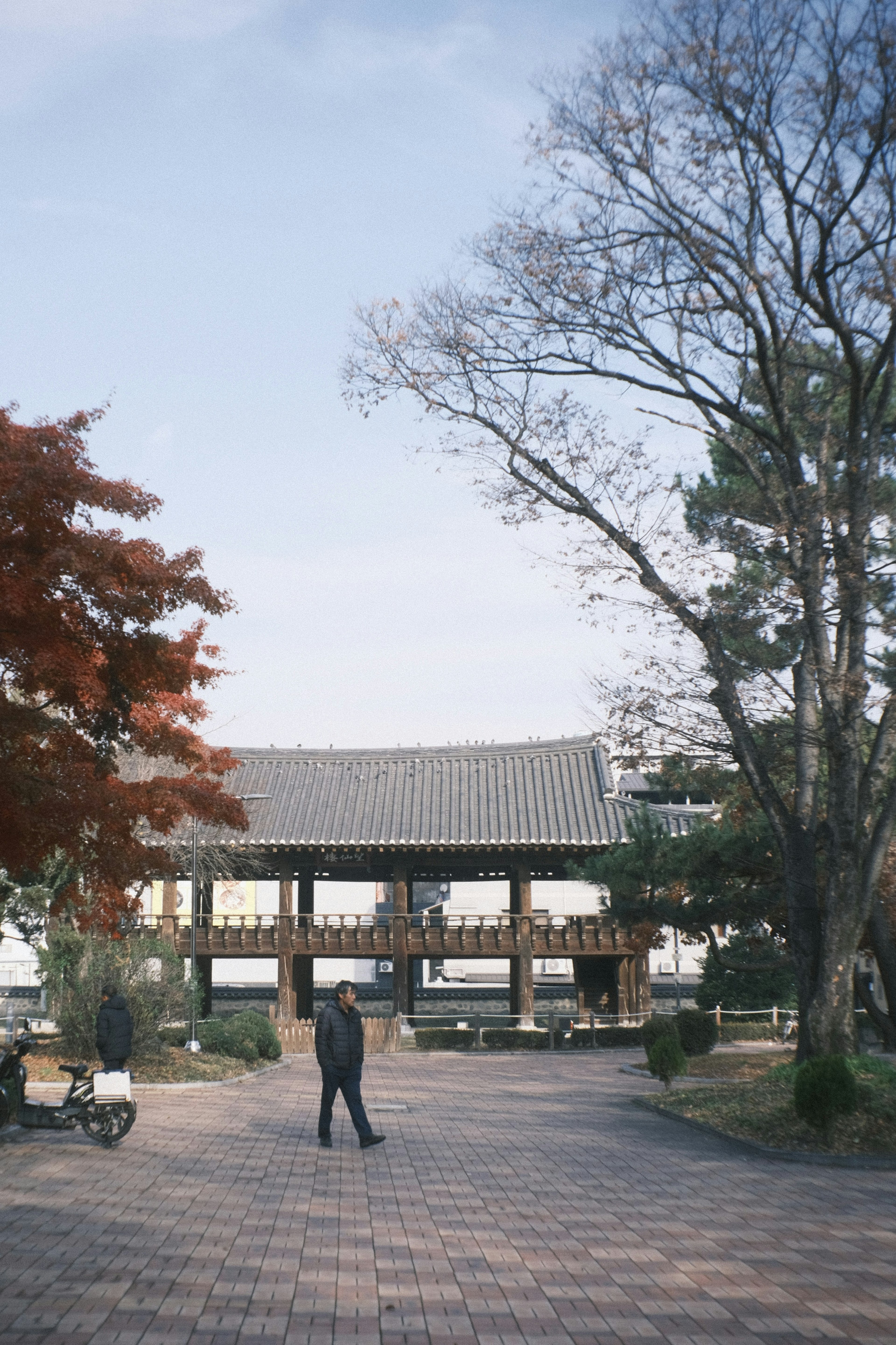 公園の中にある伝統的な建物と秋の木々が見える風景