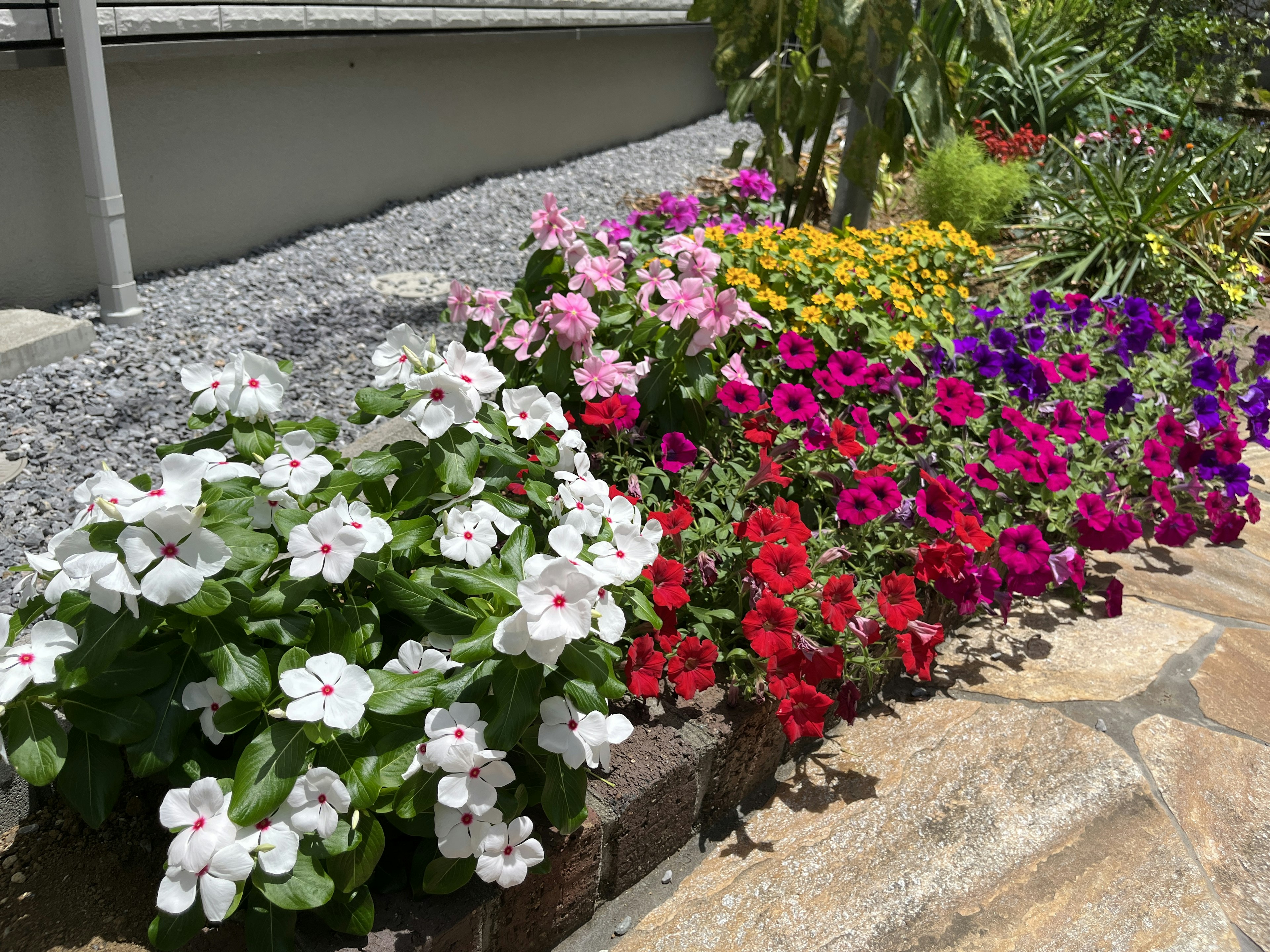 色とりどりの花が咲く庭の一角