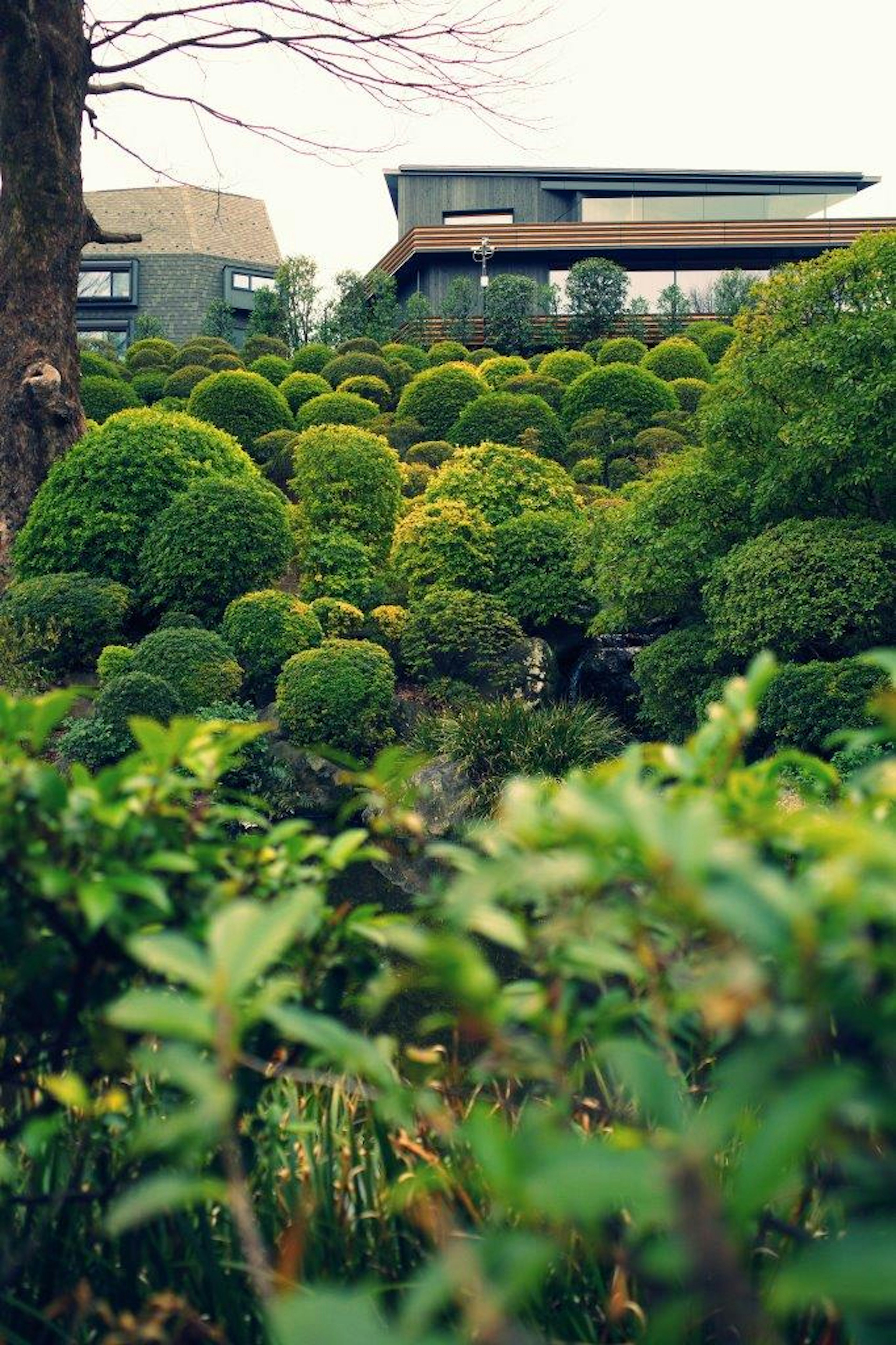 Bâtiment moderne entouré d'un jardin verdoyant avec des buissons arrondis