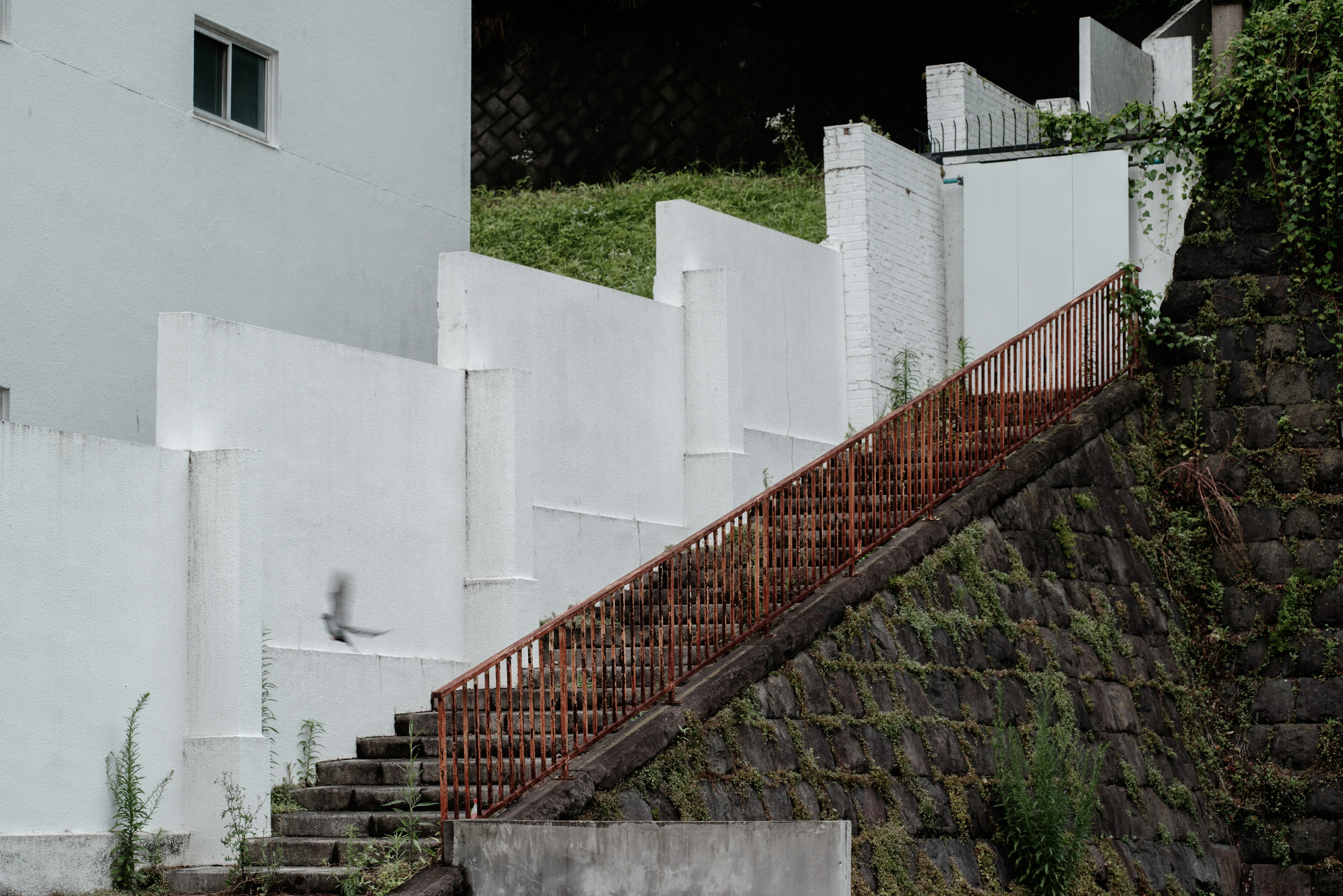 Landschaft mit weißen Wänden und einer Treppe mit rogel Geländer