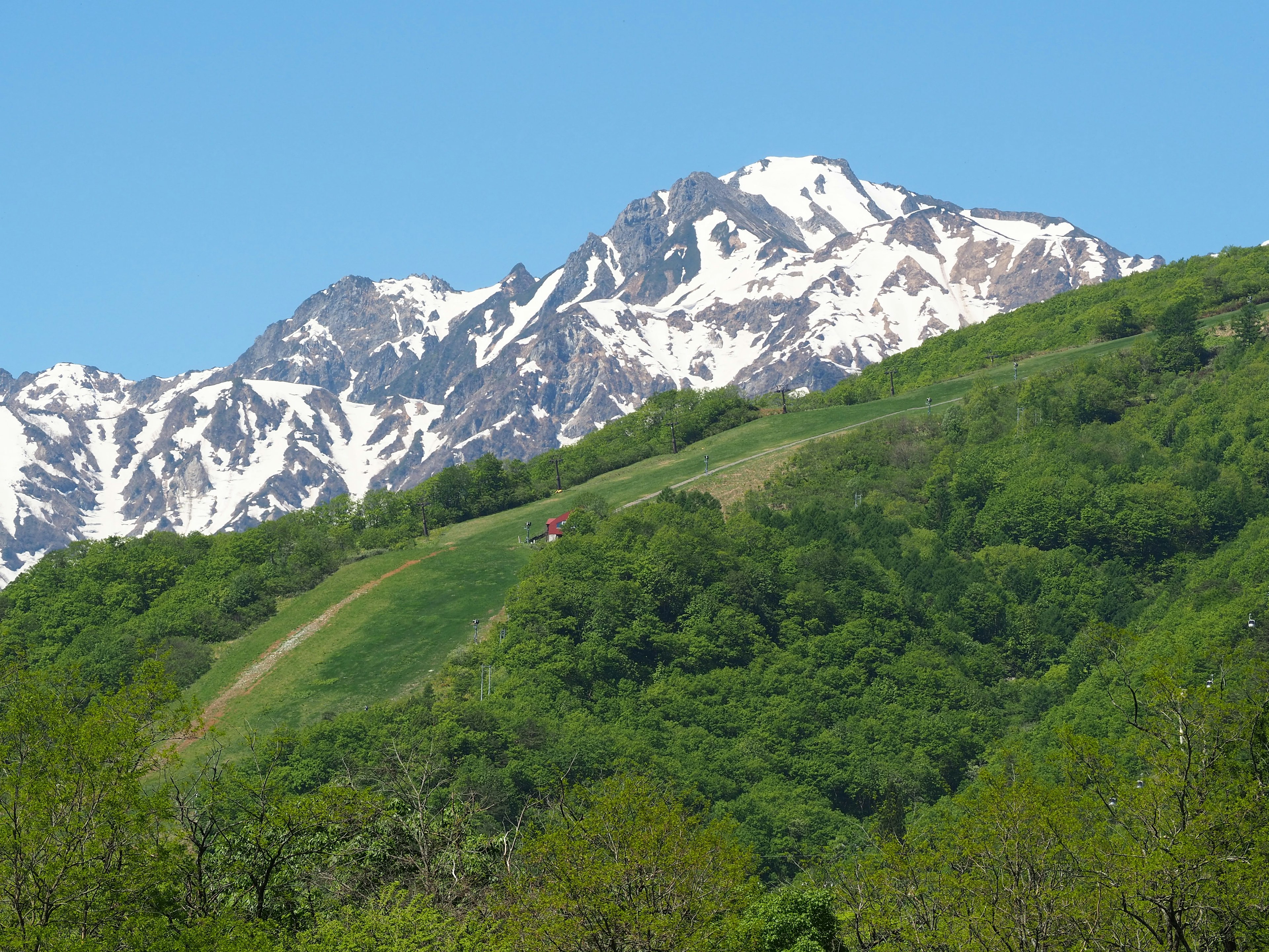 Montagnes enneigées avec des collines verdoyantes