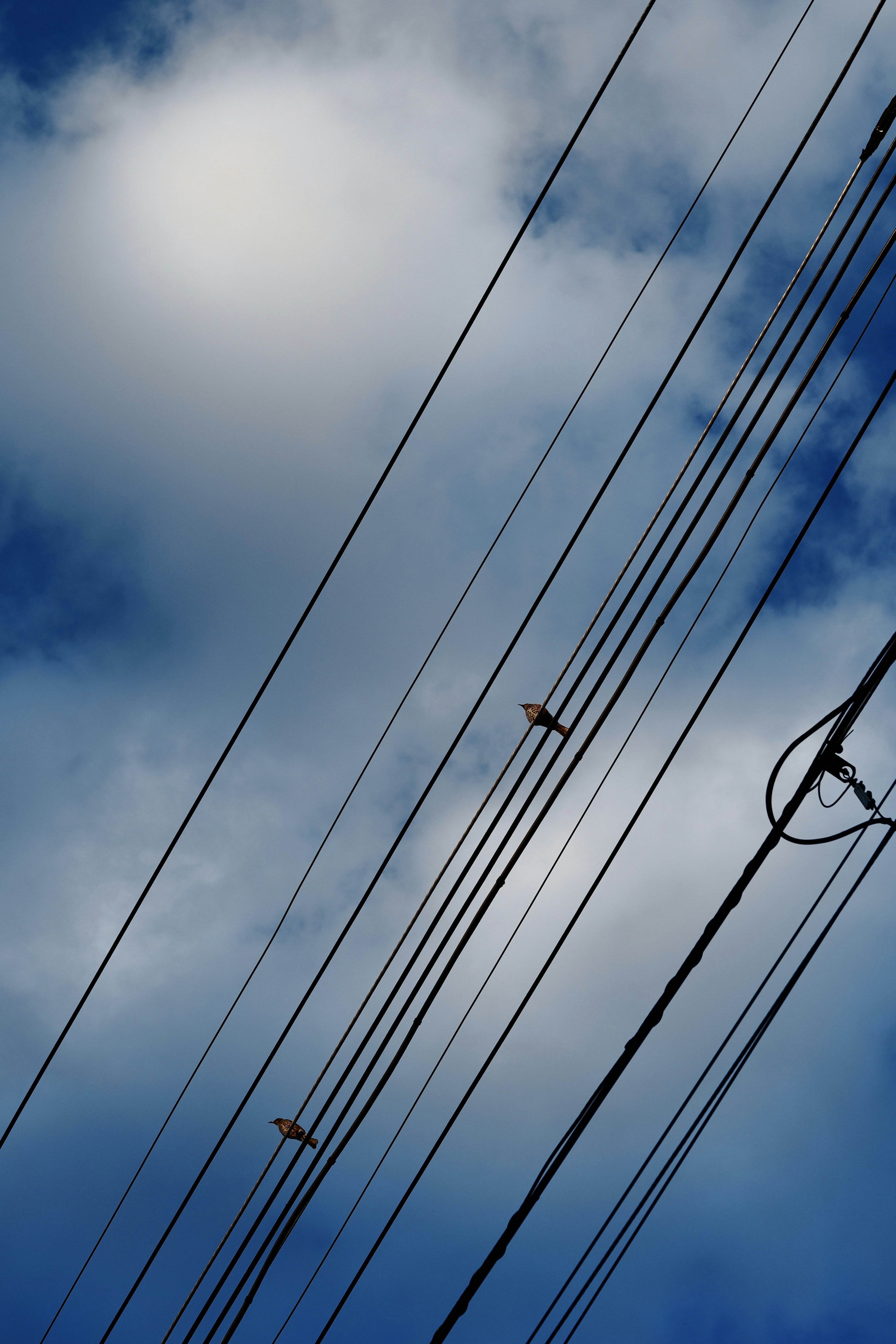 Power lines against a blue sky with clouds