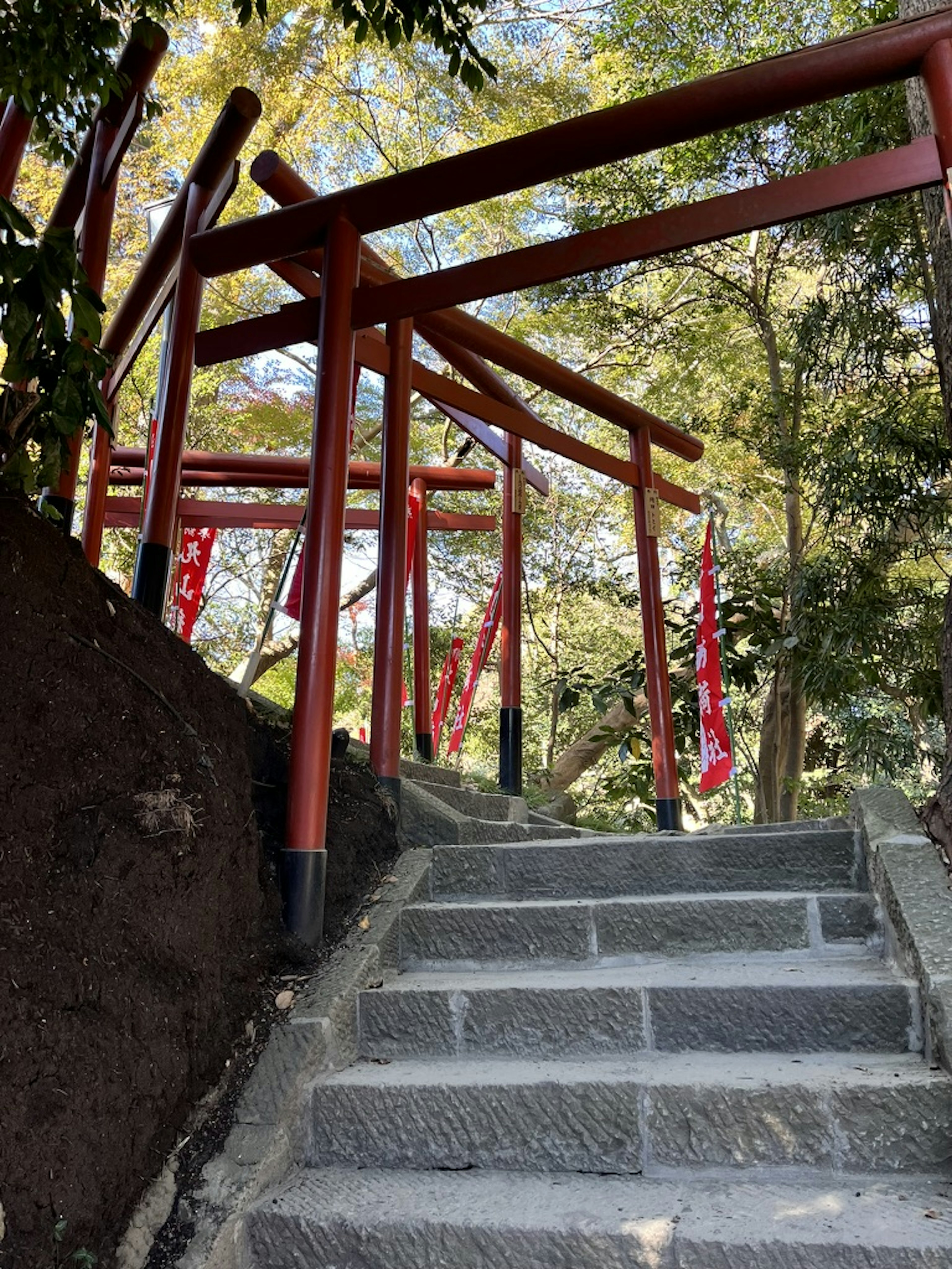 赤い鳥居と石の階段がある神社の風景