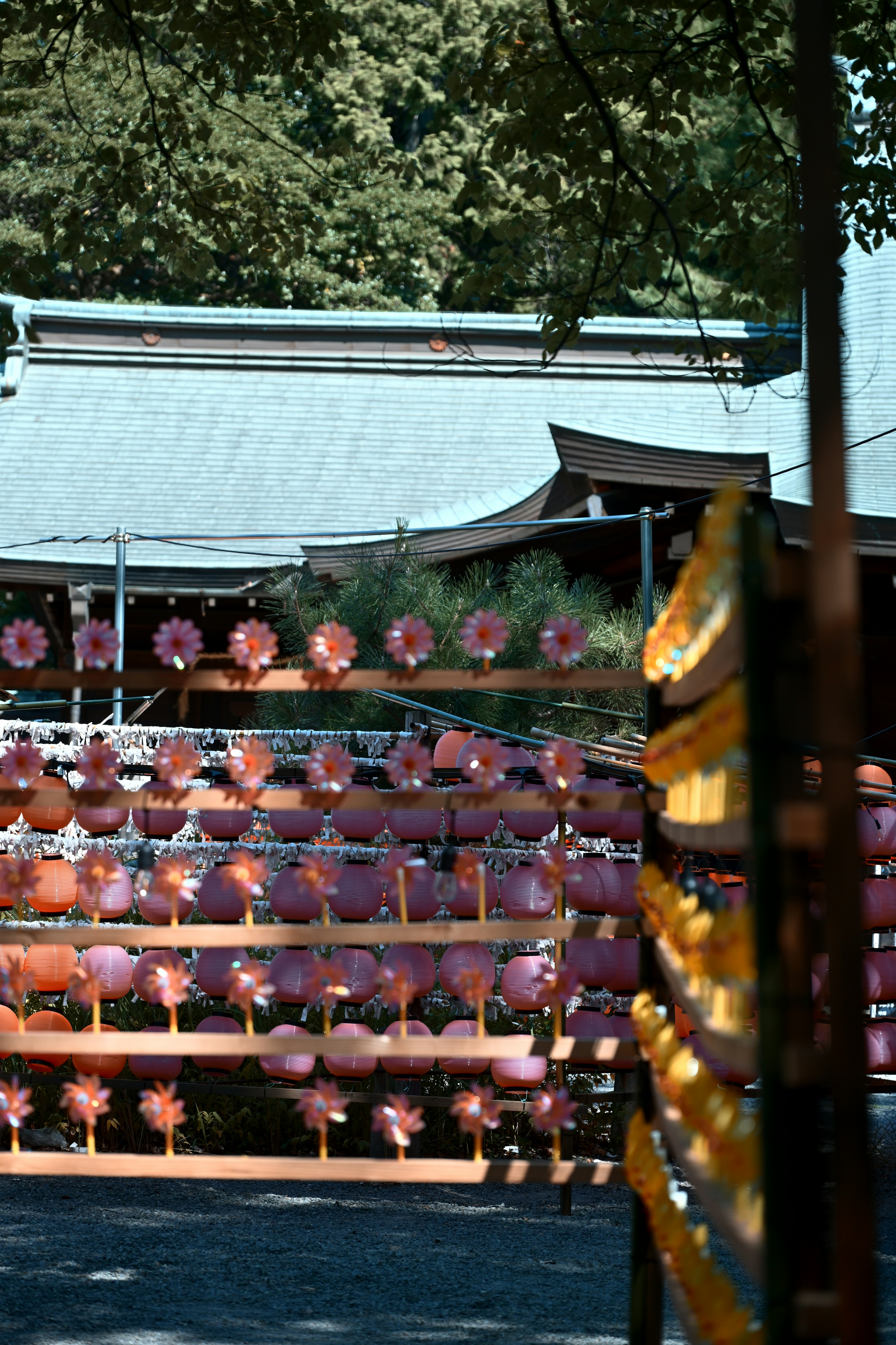 色とりどりの提灯が飾られた神社の風景