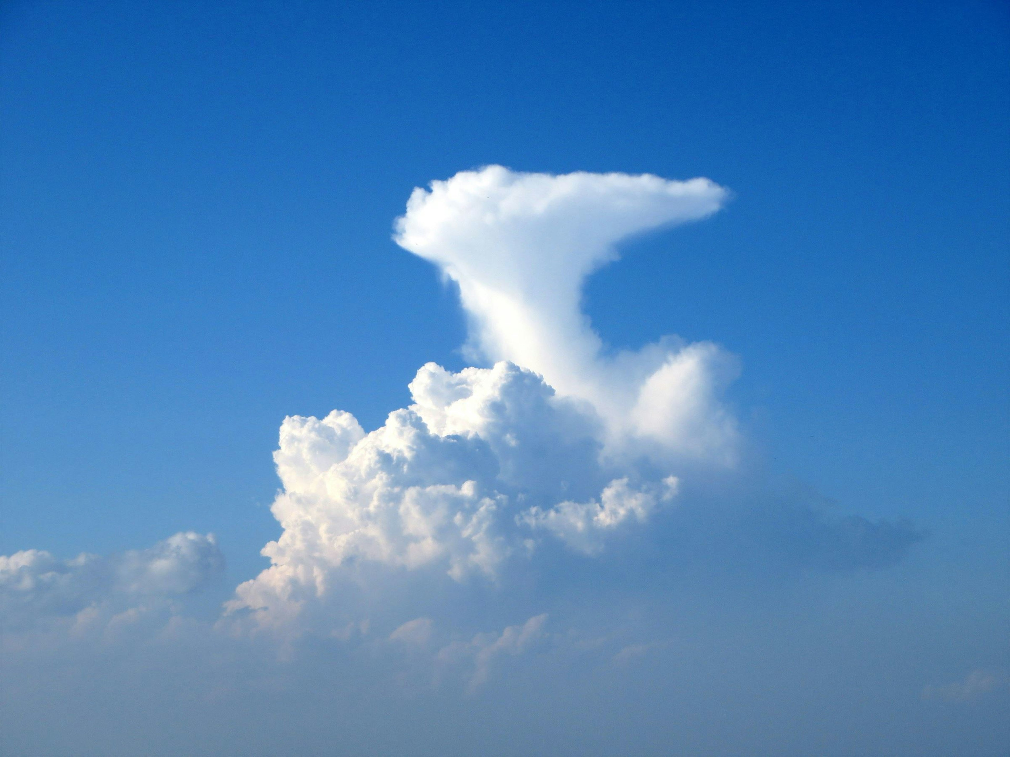 青空に浮かぶ独特な形の雲