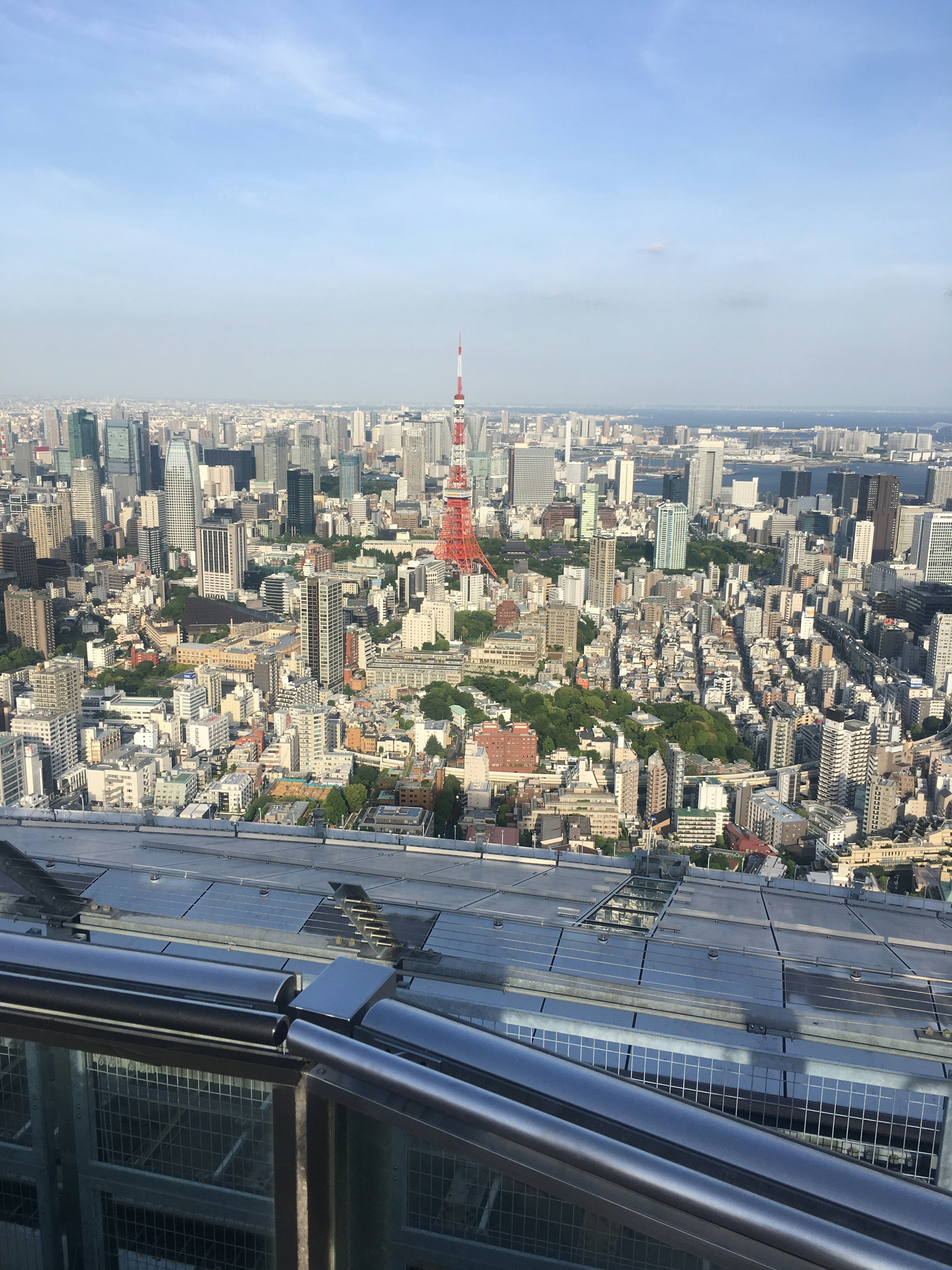 東京の高層ビル群と東京タワーの景色、青空と緑の公園が見える