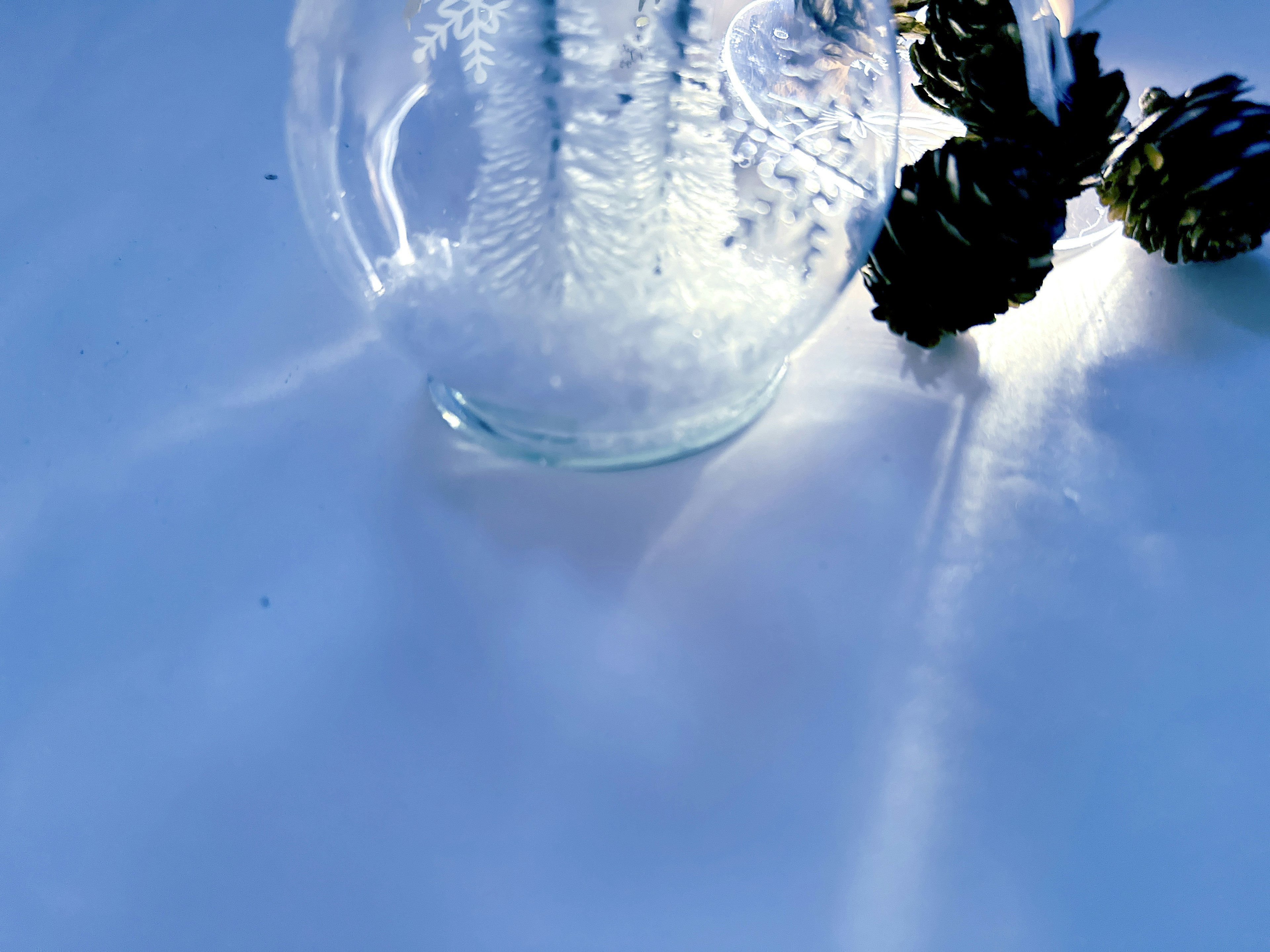 Vase en verre transparent avec des cônes de pin sur un fond bleu clair