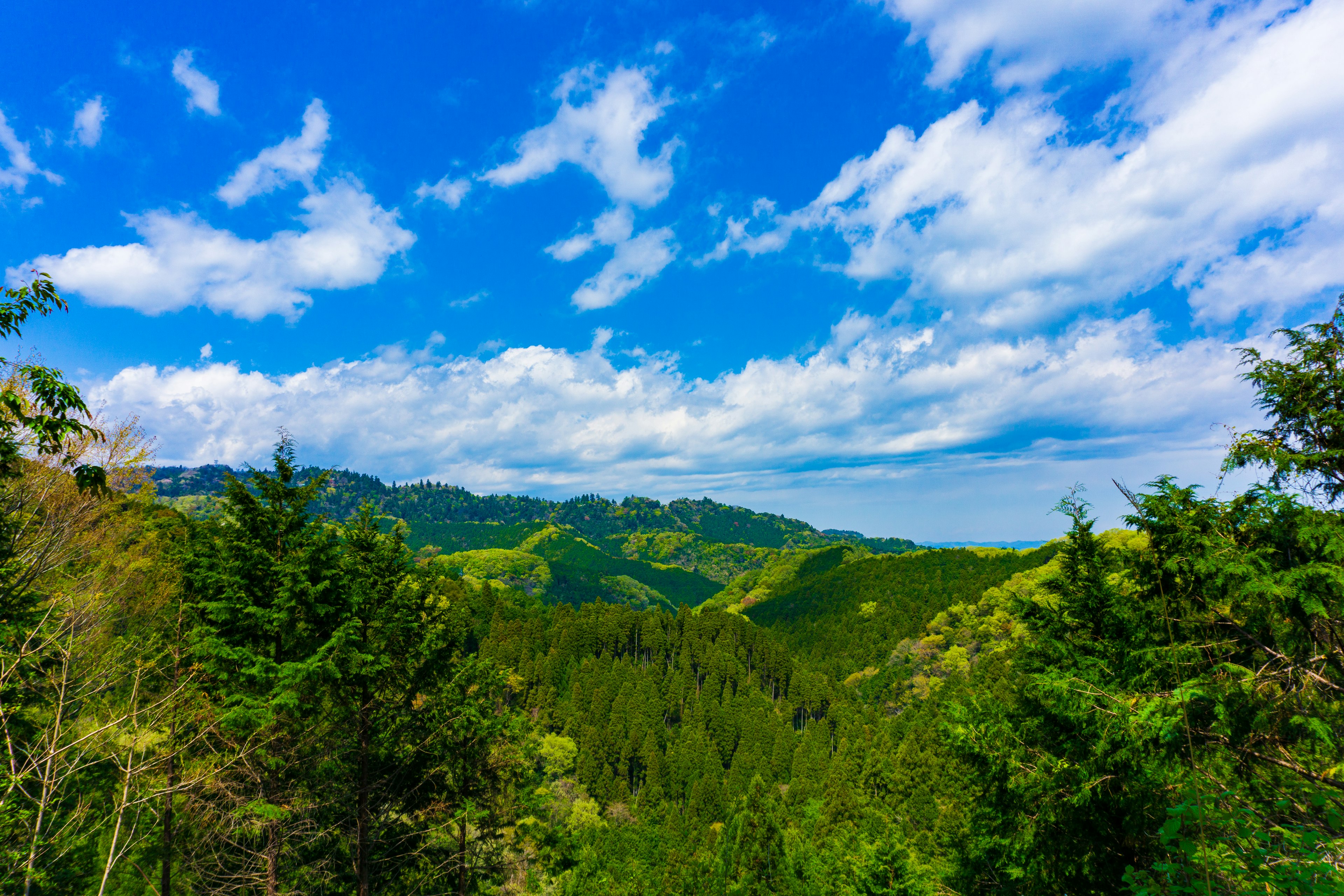 Scenic view of green mountains under a bright blue sky