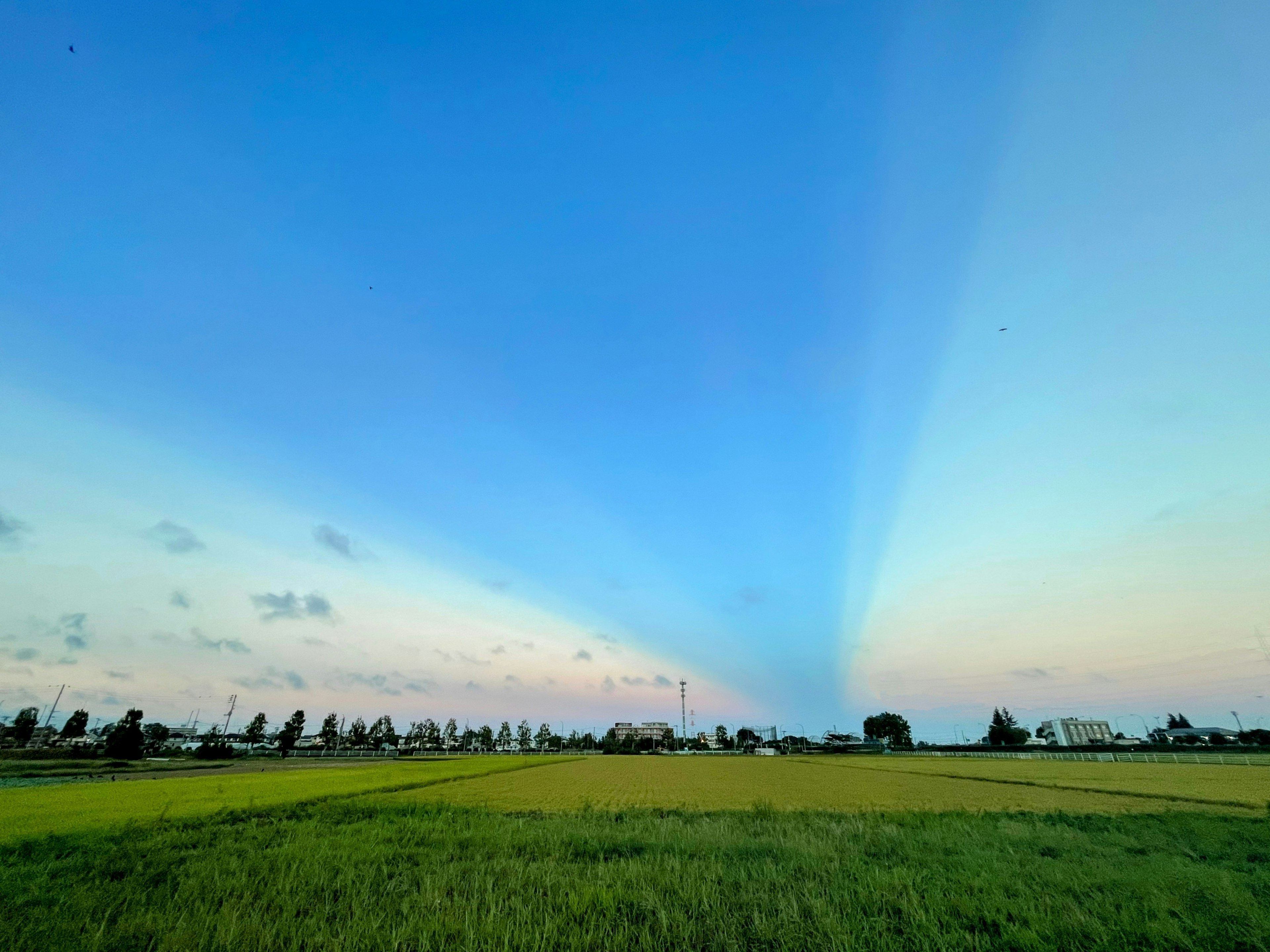 青空と夕焼けのグラデーションが美しい田園風景