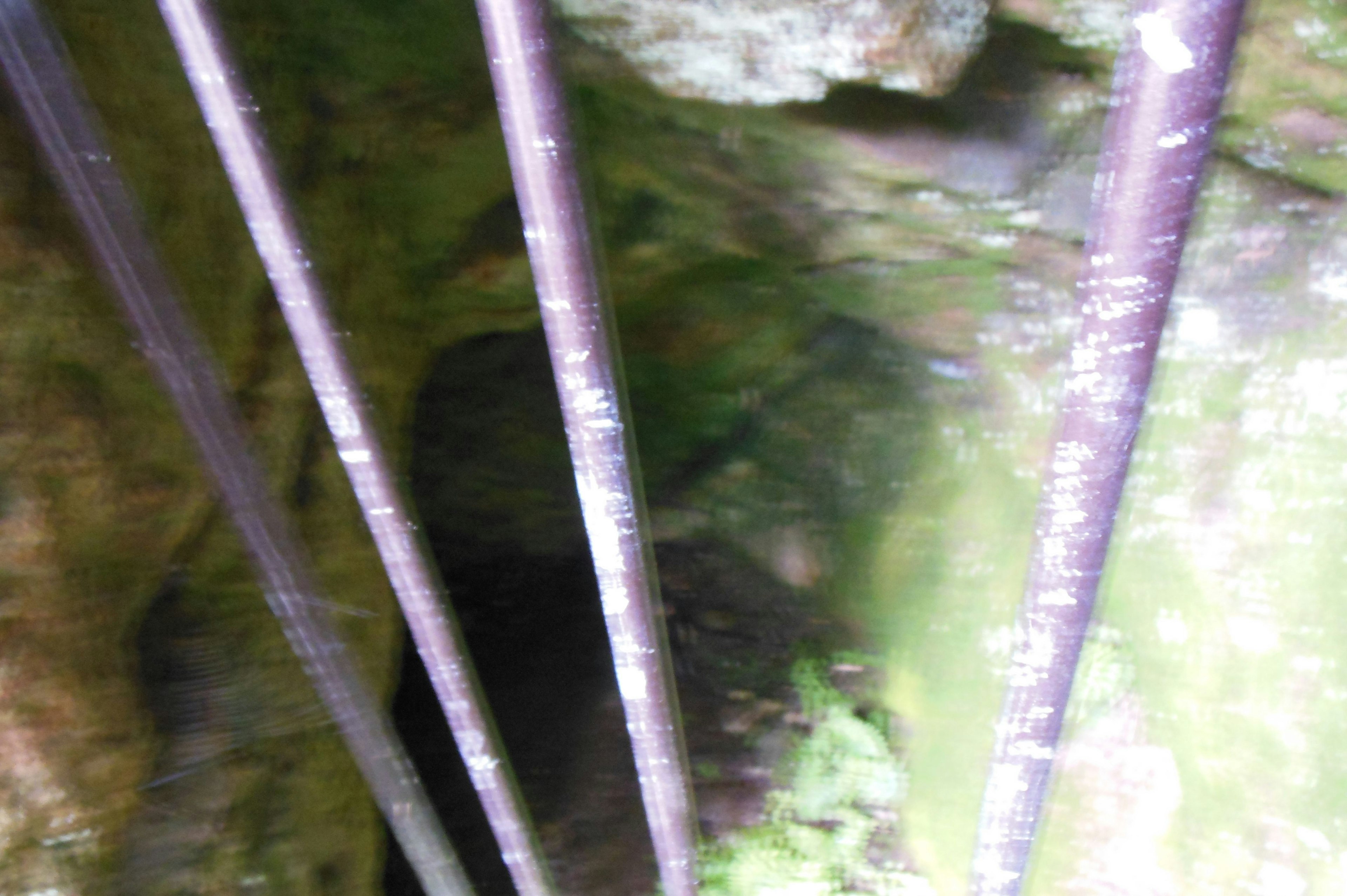 Image floue de l'intérieur d'une grotte avec des barres de fer