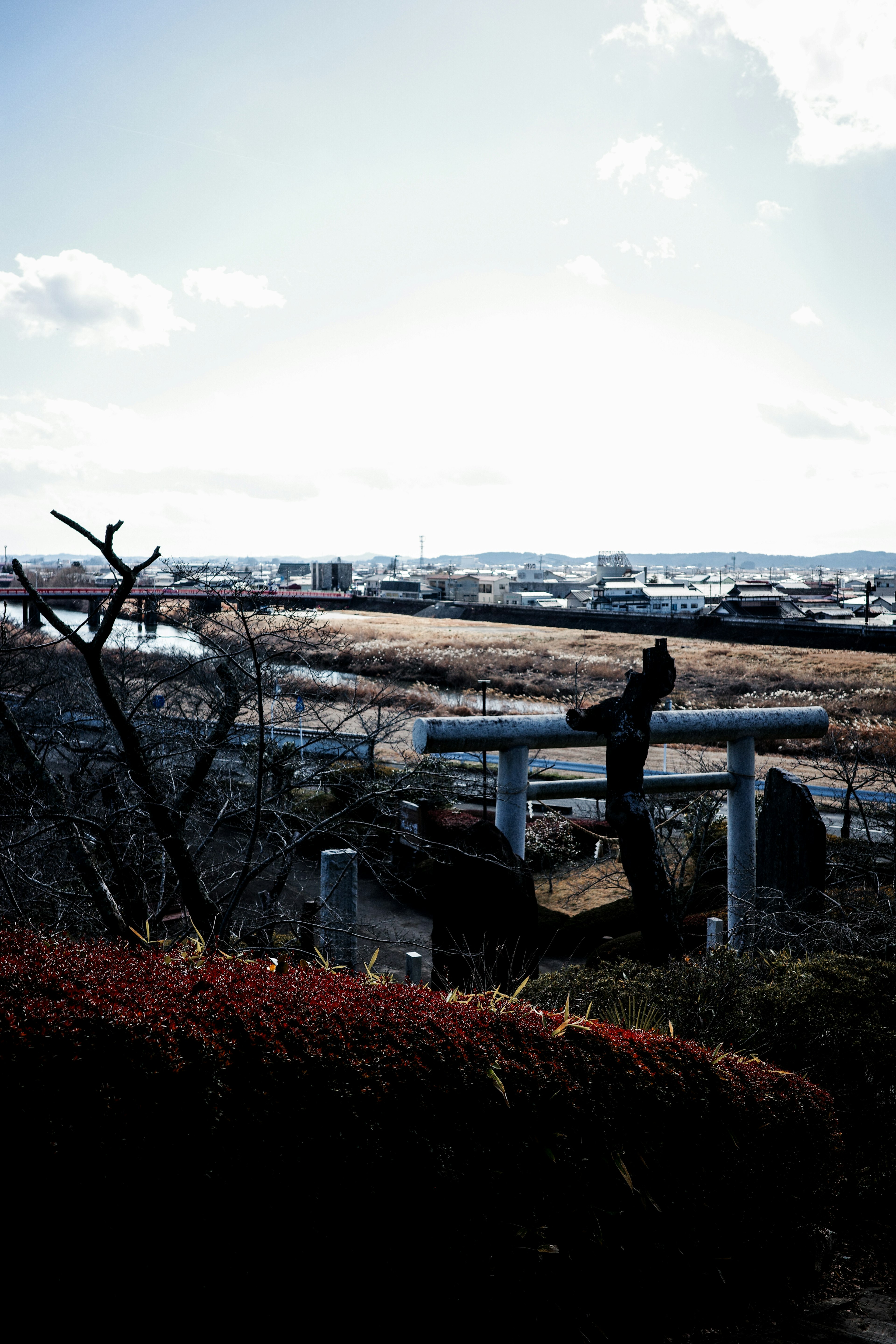 青空と雲が広がる風景に、手前には木の枝と緑の植物が見える