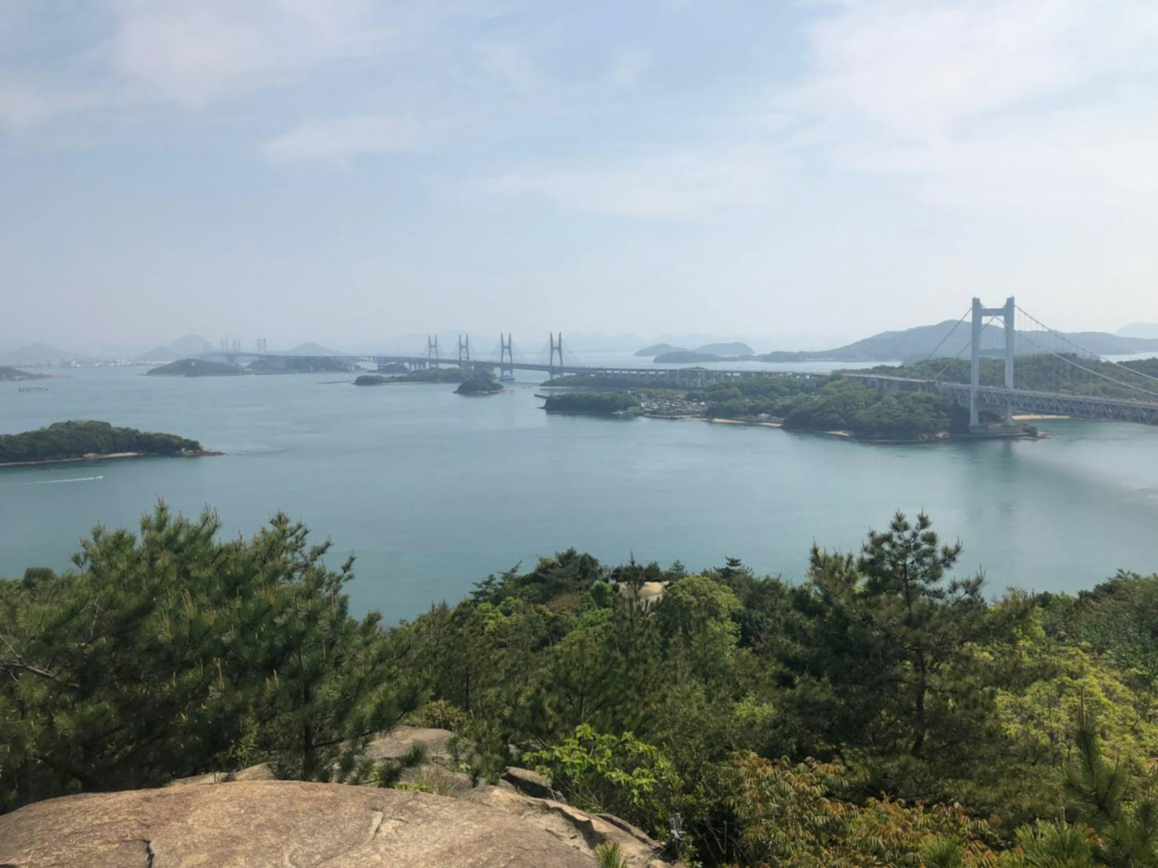 Scenic view of the sea and bridge surrounded by lush greenery