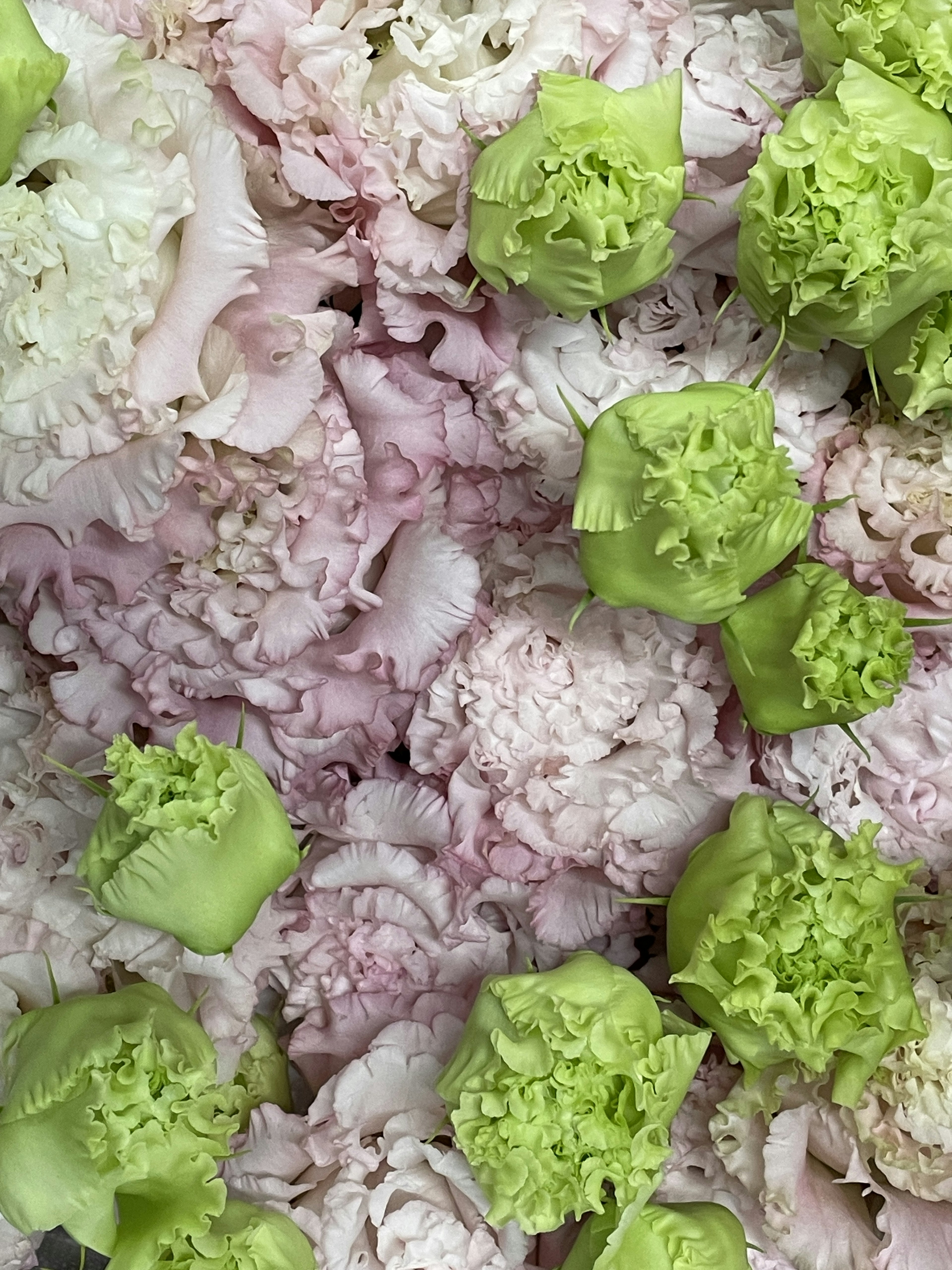 A beautiful arrangement of colorful flowers and vegetables