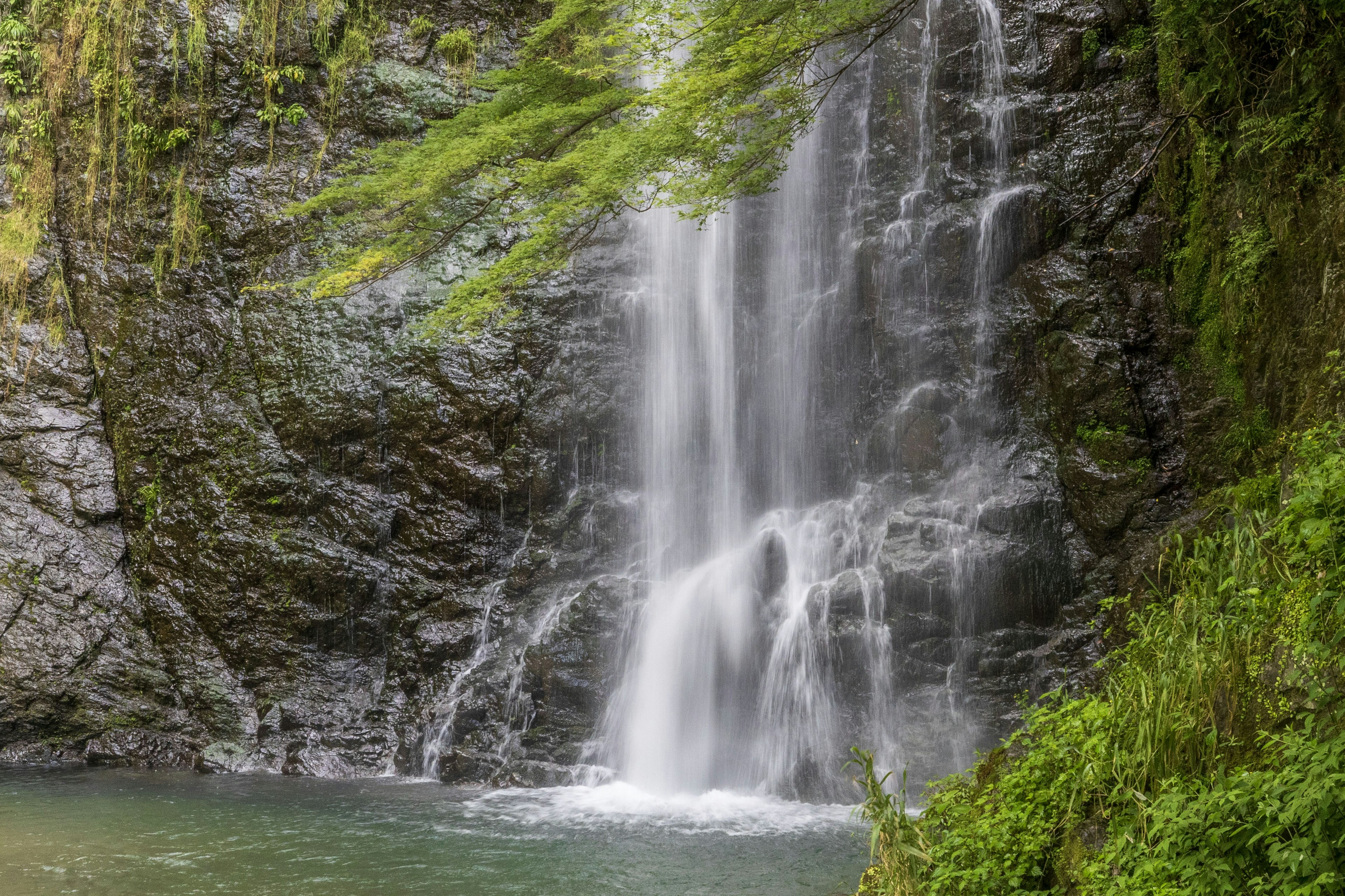 Una bellissima cascata che scorre su scogliere rocciose in un paesaggio verdeggiante