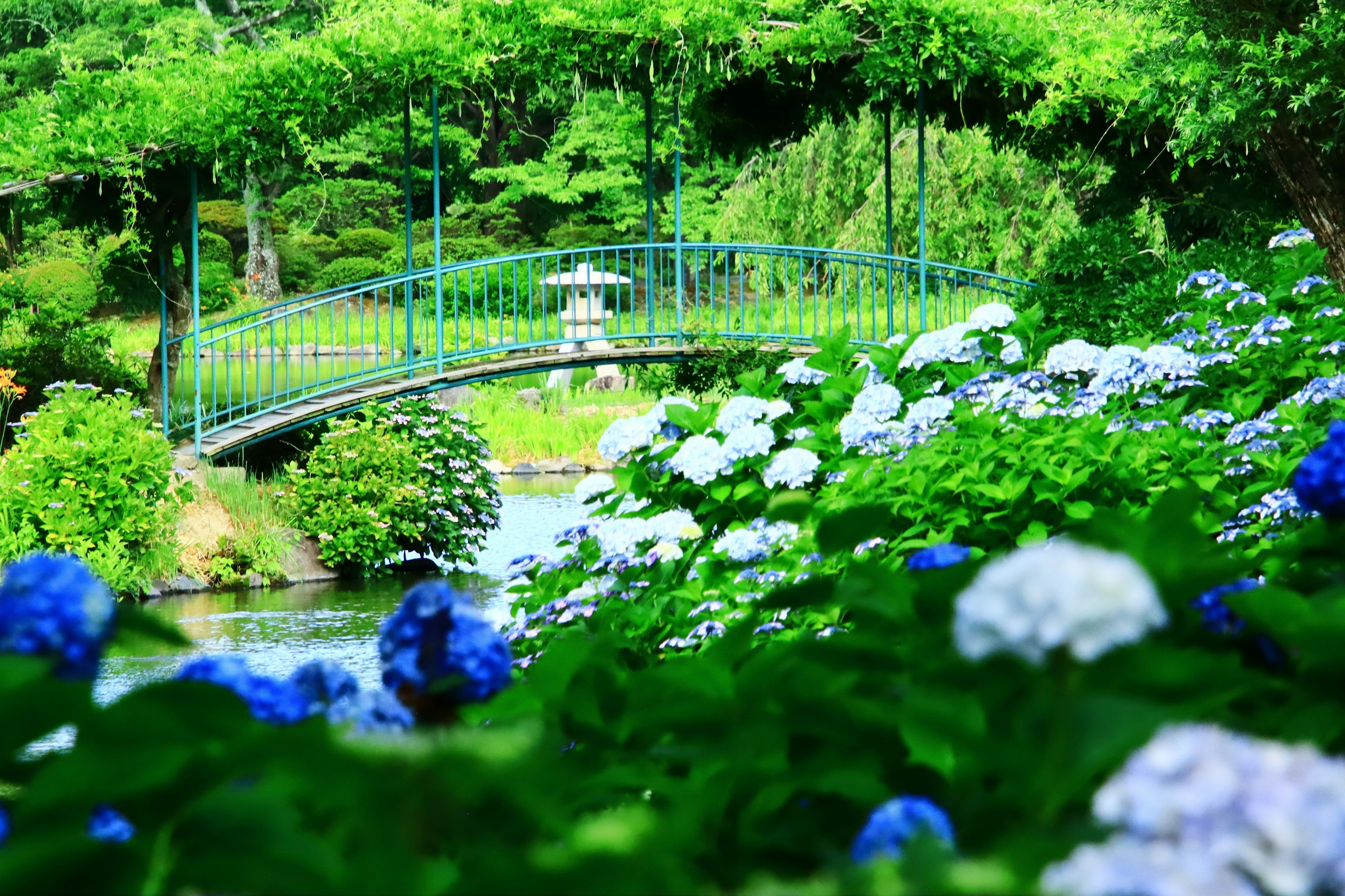 Paysage magnifique avec un pont vert sur une rivière entourée de fleurs bleues et blanches