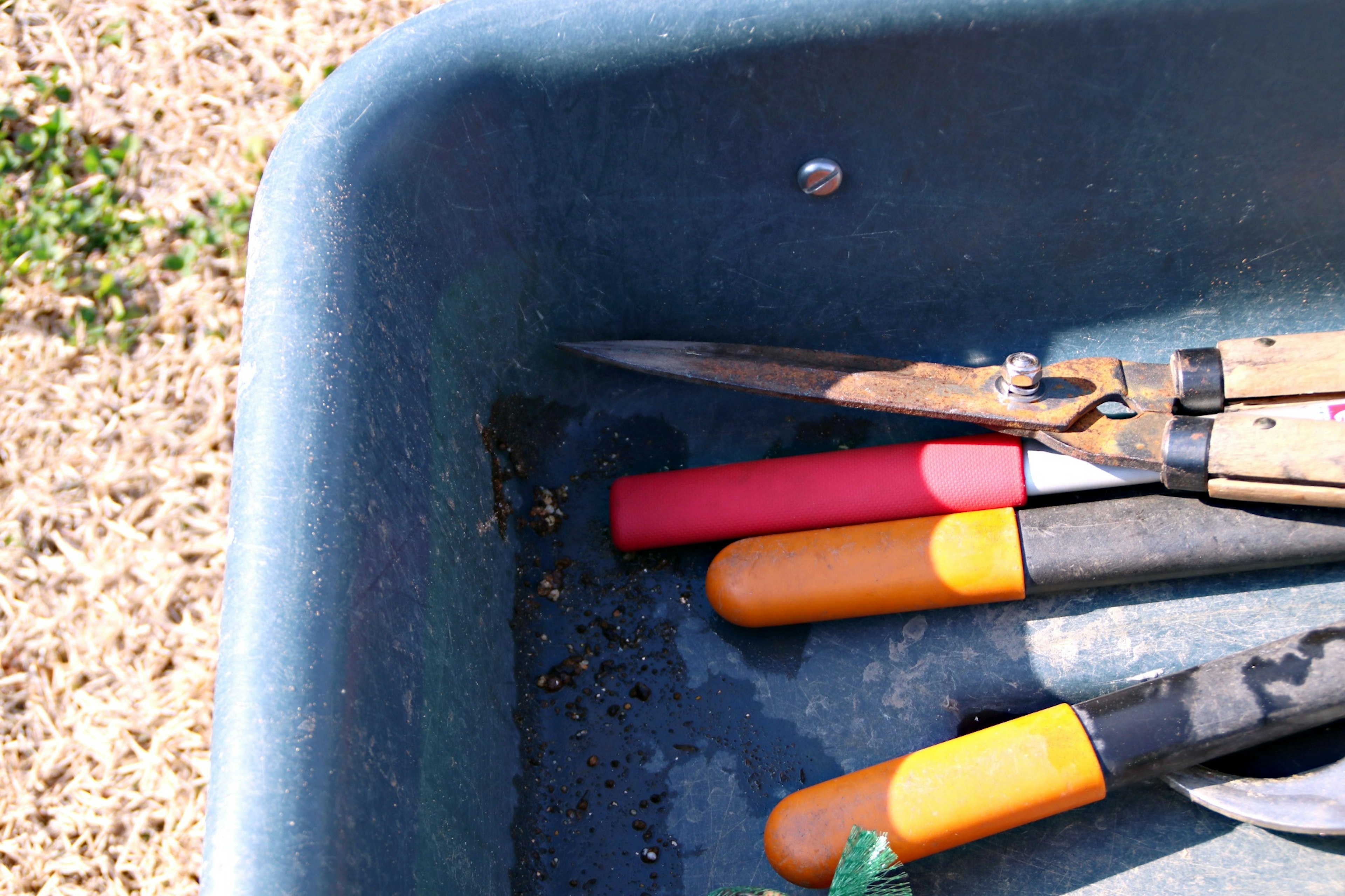 Set von Gartenwerkzeugen und Scheren in einem blauen Plastikbehälter