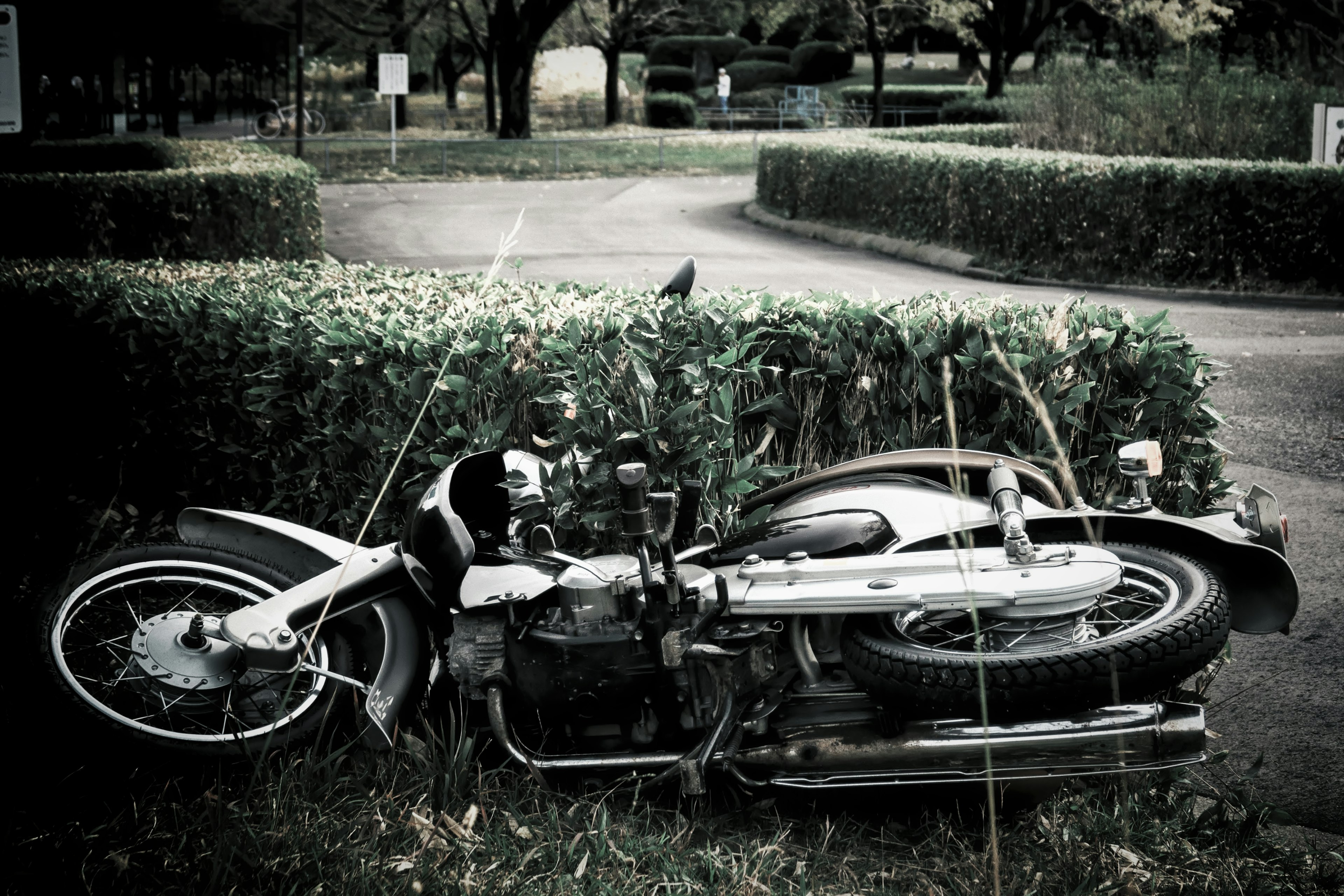 Una motocicleta caída cerca de un seto verde en un parque