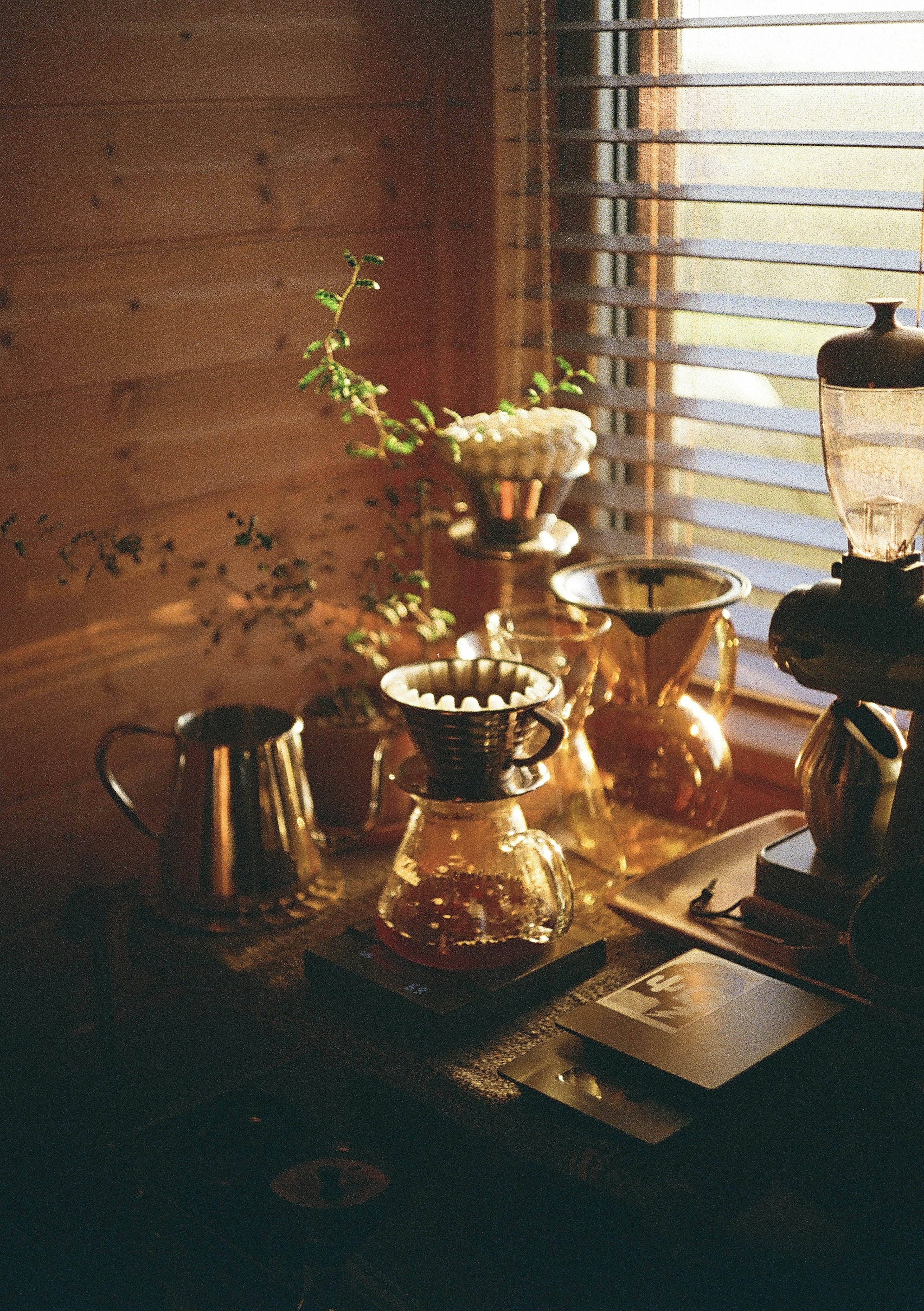 A serene scene with coffee brewing equipment and plants by a window