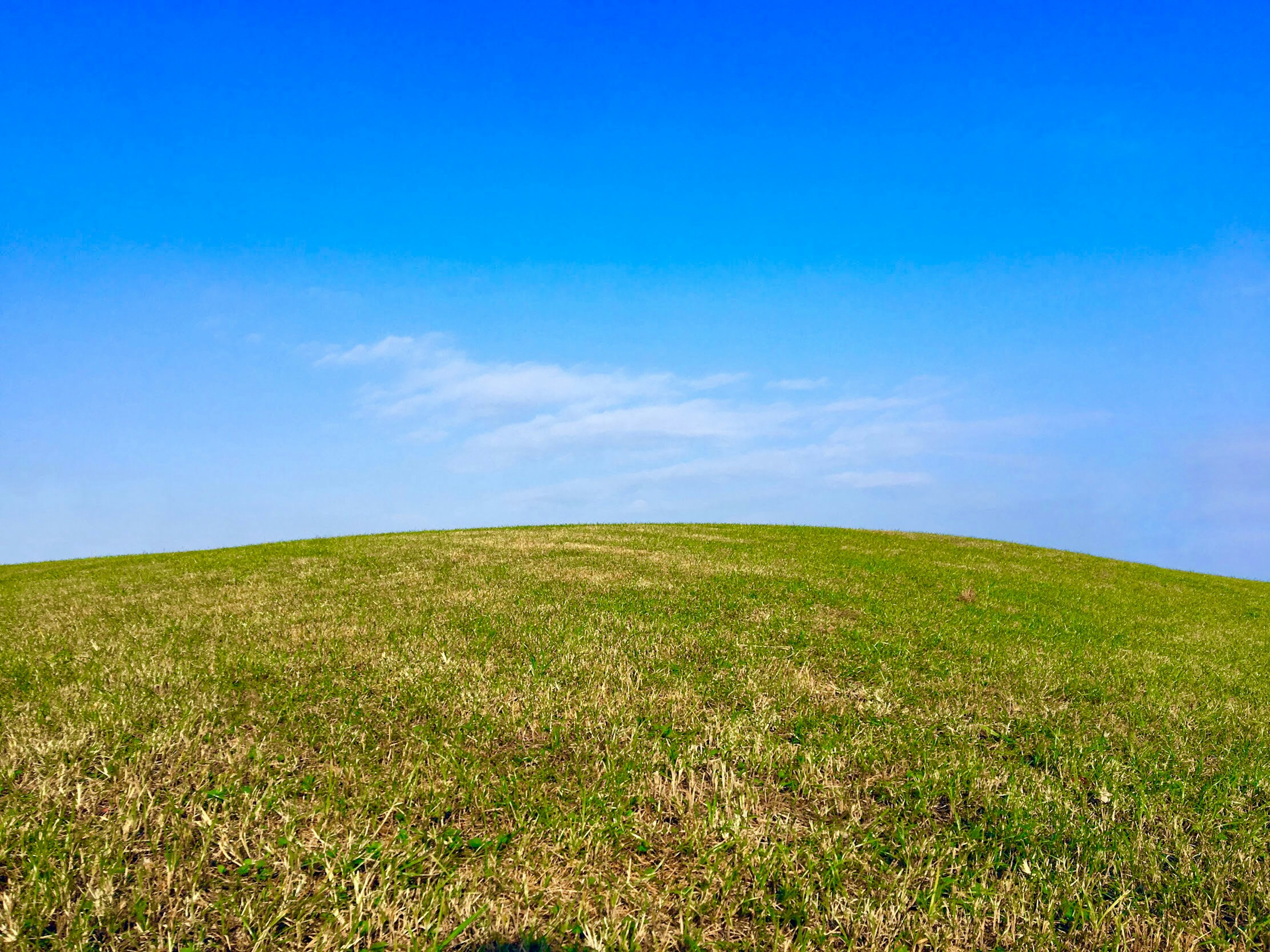 Paisaje con un cielo azul brillante y una colina verde