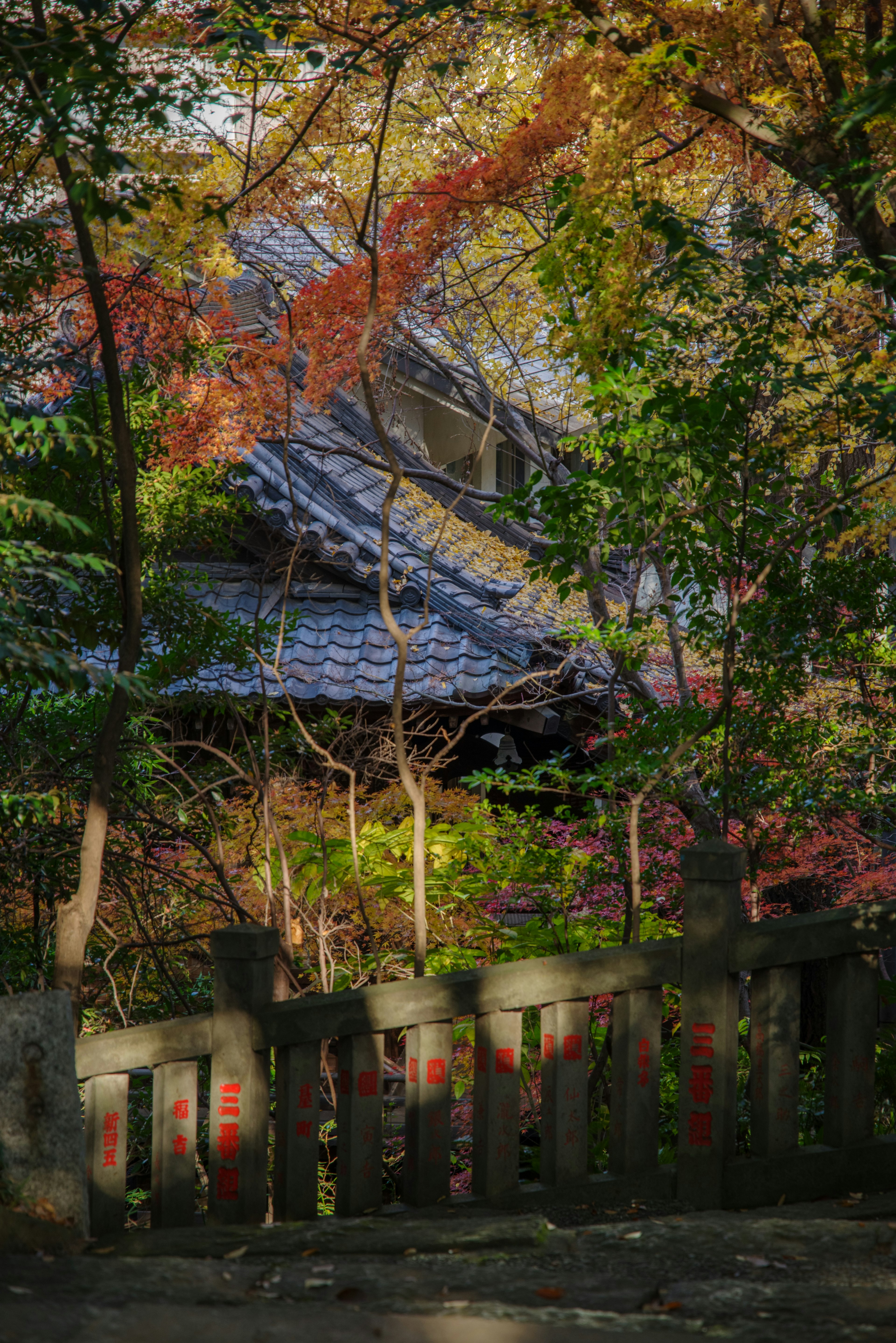 Vista pintoresca de un edificio japonés tradicional rodeado de follaje otoñal