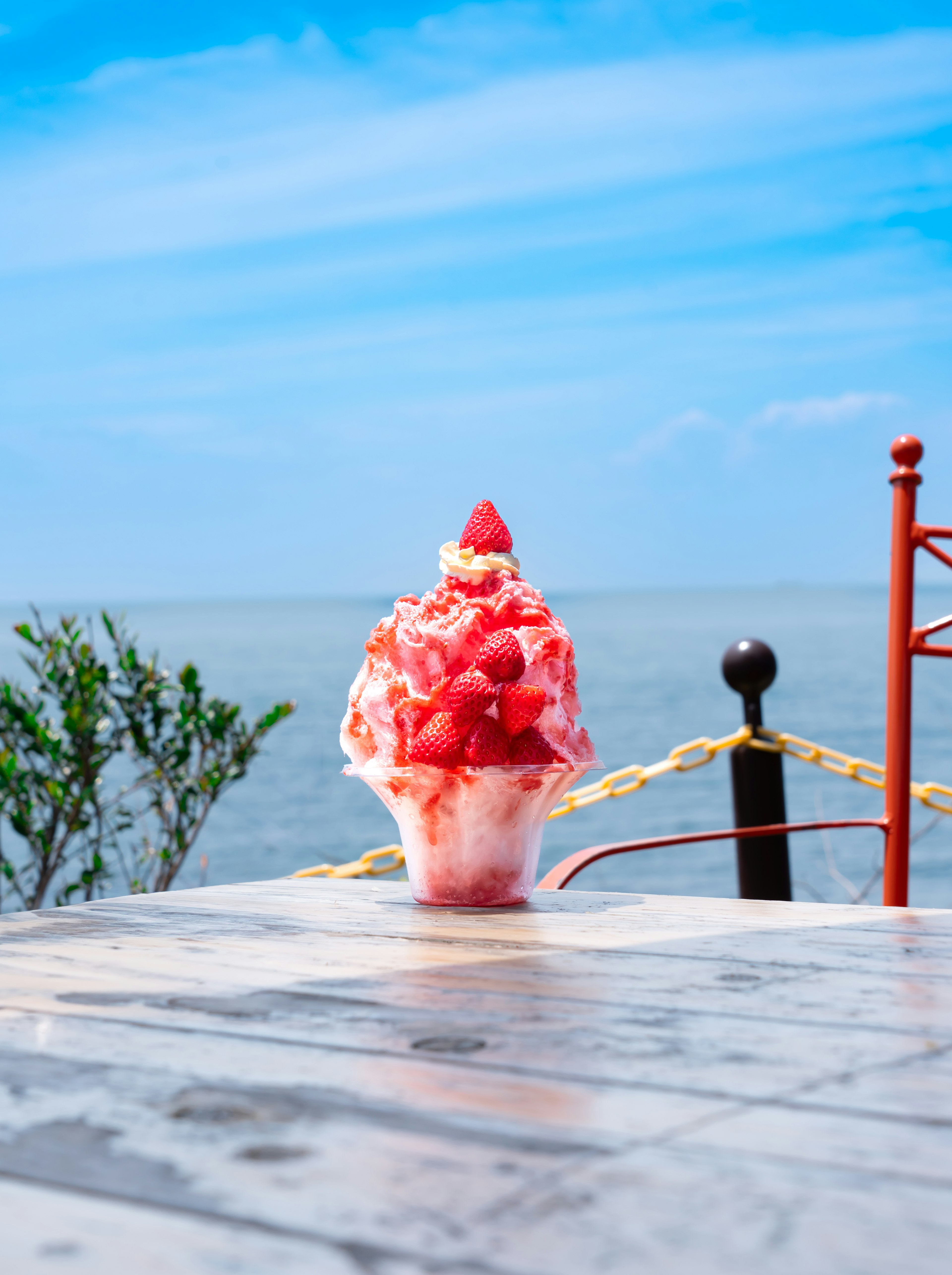 Eis-Dessert mit Erdbeeren vor blauem Meereshorizont