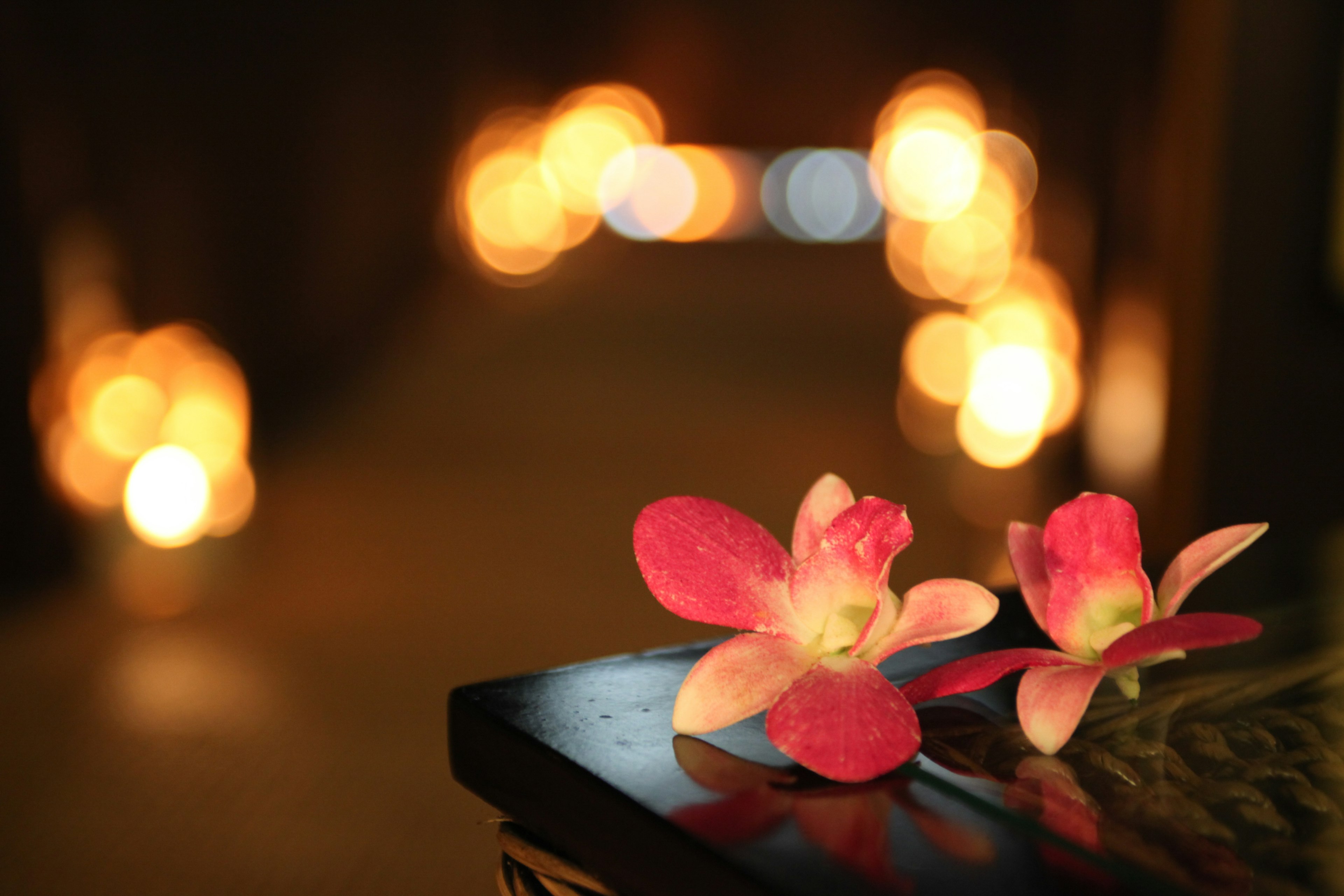 Flores rosas vibrantes sobre una mesa con luces borrosas de fondo