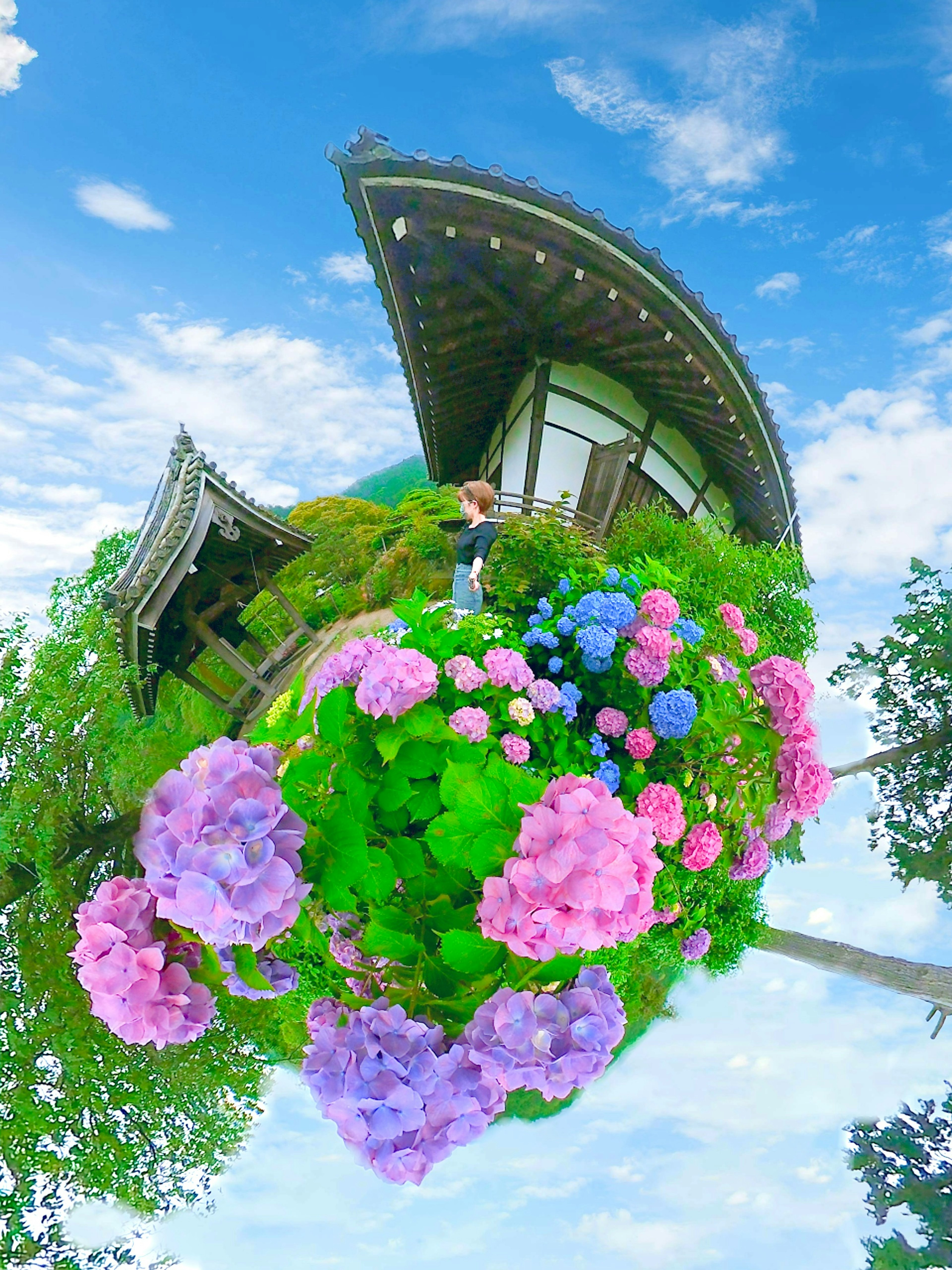 Traditional Japanese house surrounded by vibrant flowers and blue sky