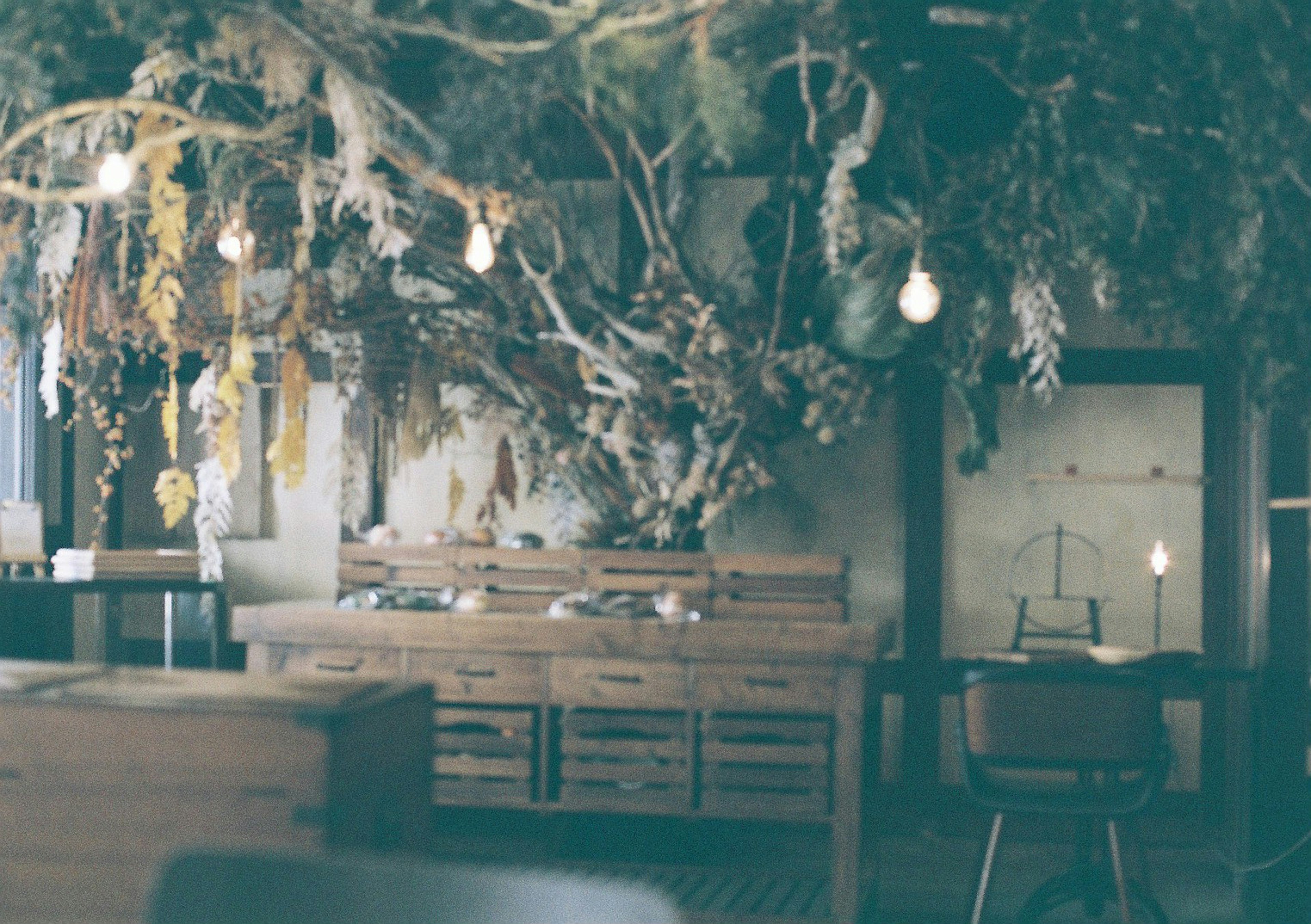 Interior de café decorado con ramas y flores secas