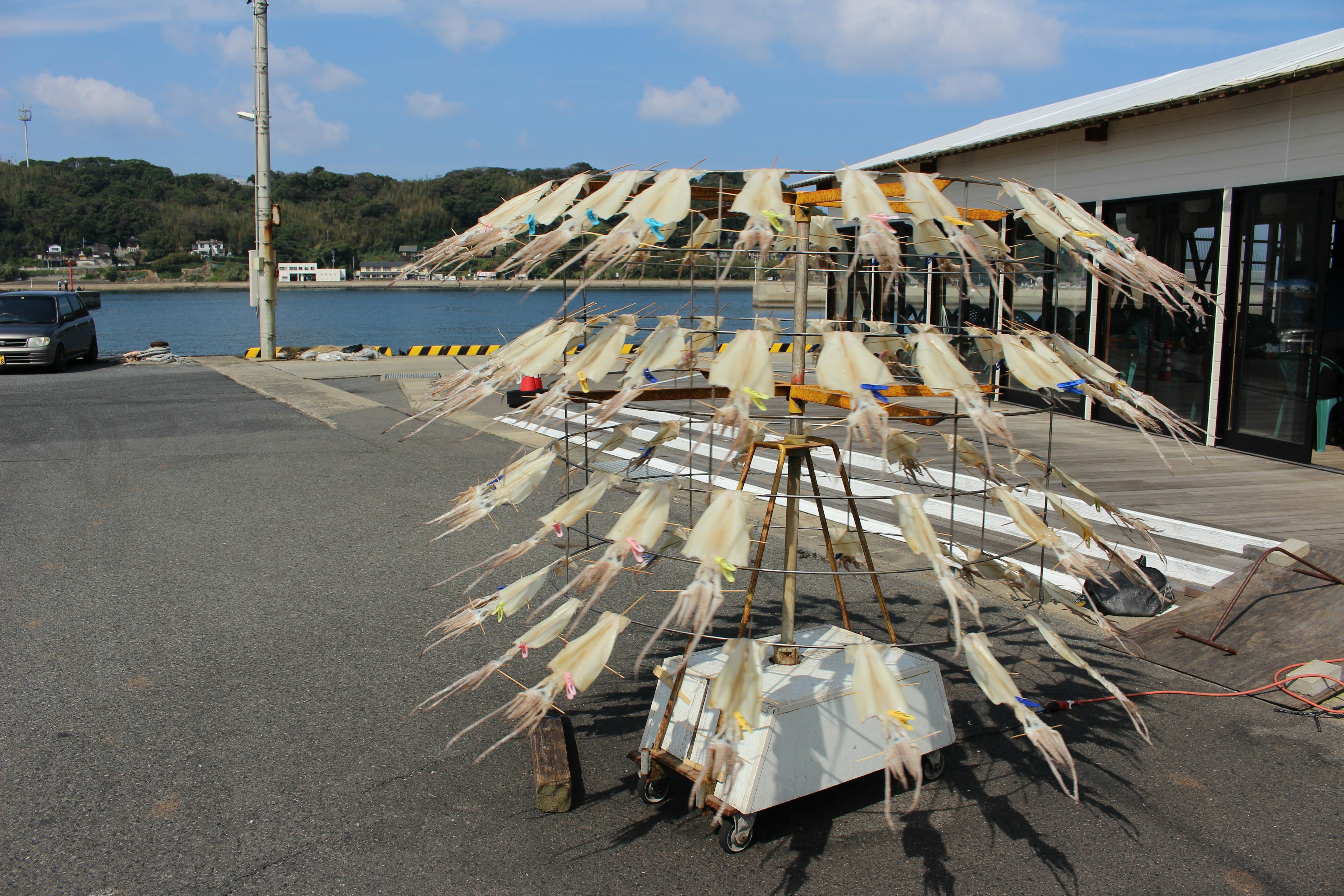 สแตนด์ที่ไม่เหมือนใครที่มีปลาหมึกแห้งแสดงอยู่ที่ท่าเรือ