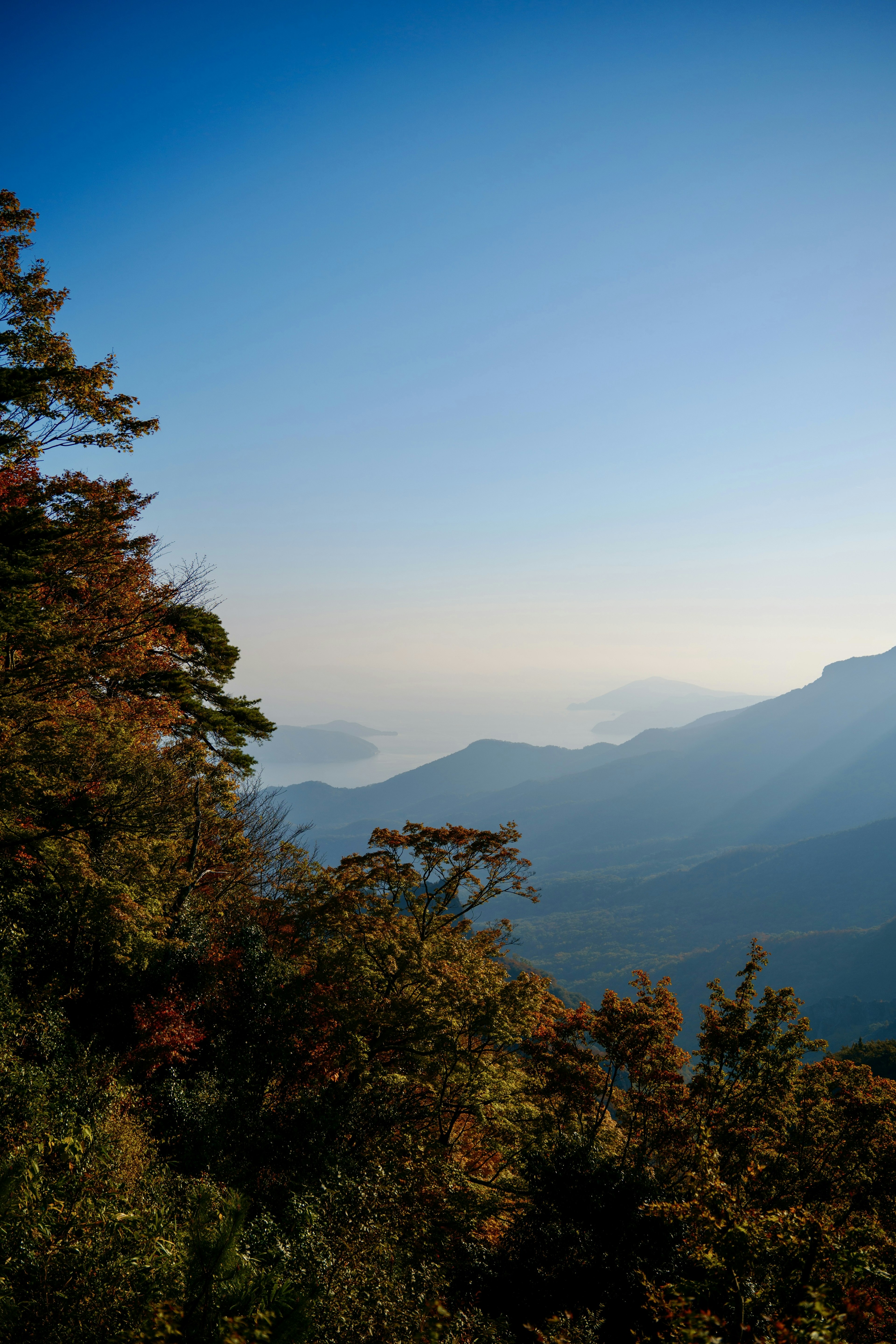 Pemandangan pegunungan dengan langit biru dan dedaunan berwarna